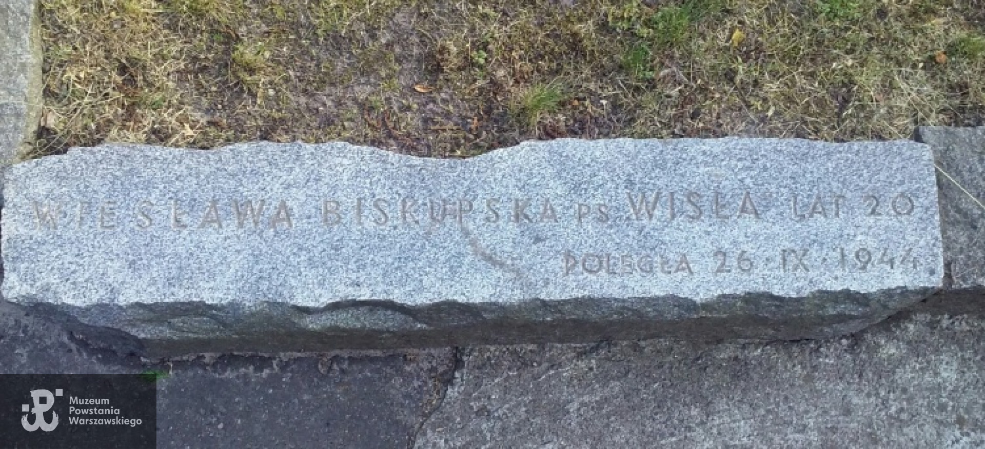 Fot. udostępnione przez Magdalenę Ciok