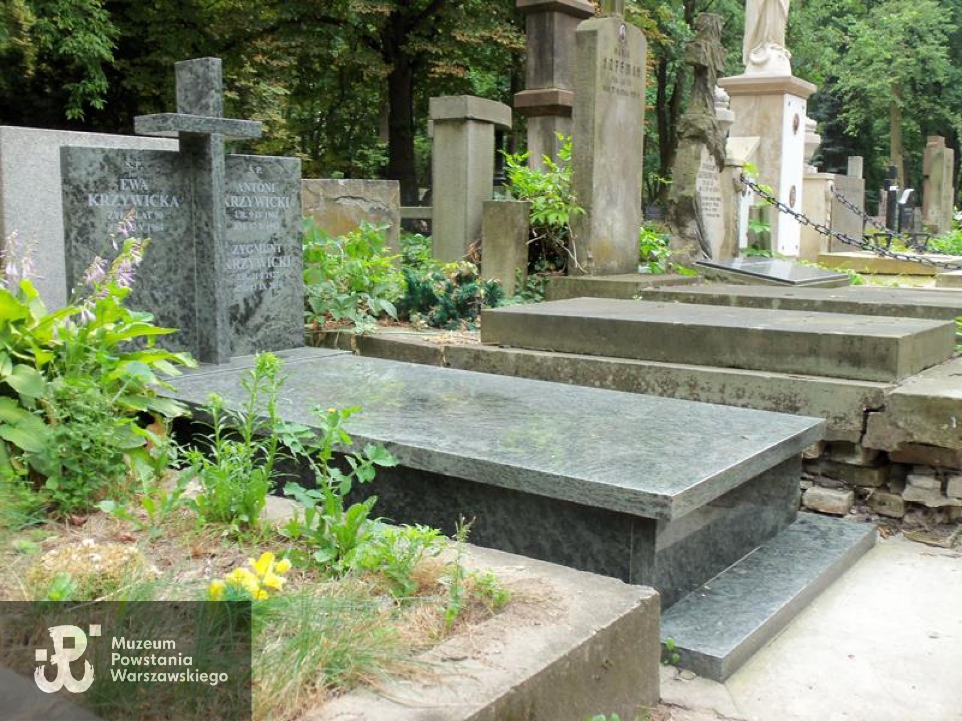 Fot. Warszawskie Zabytkowe Pomniki Nagrobne:  serwis mapowy m. st. Warszawy: <i>cmentarze.um.warszawa.pl</i>