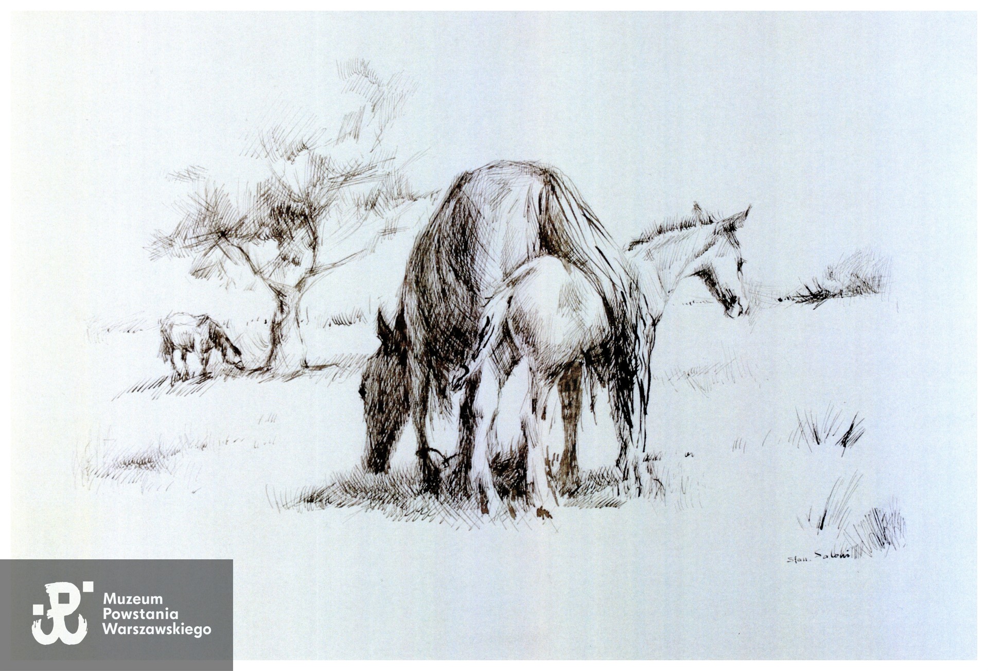 Grafika Stanisławy Saloni. Skan udostępnił p. Tomasz Michałowski (Stowarzyszenie Żołnierzy Armii Krajowej Żywiciel i Miłośników Ich Tradycji)