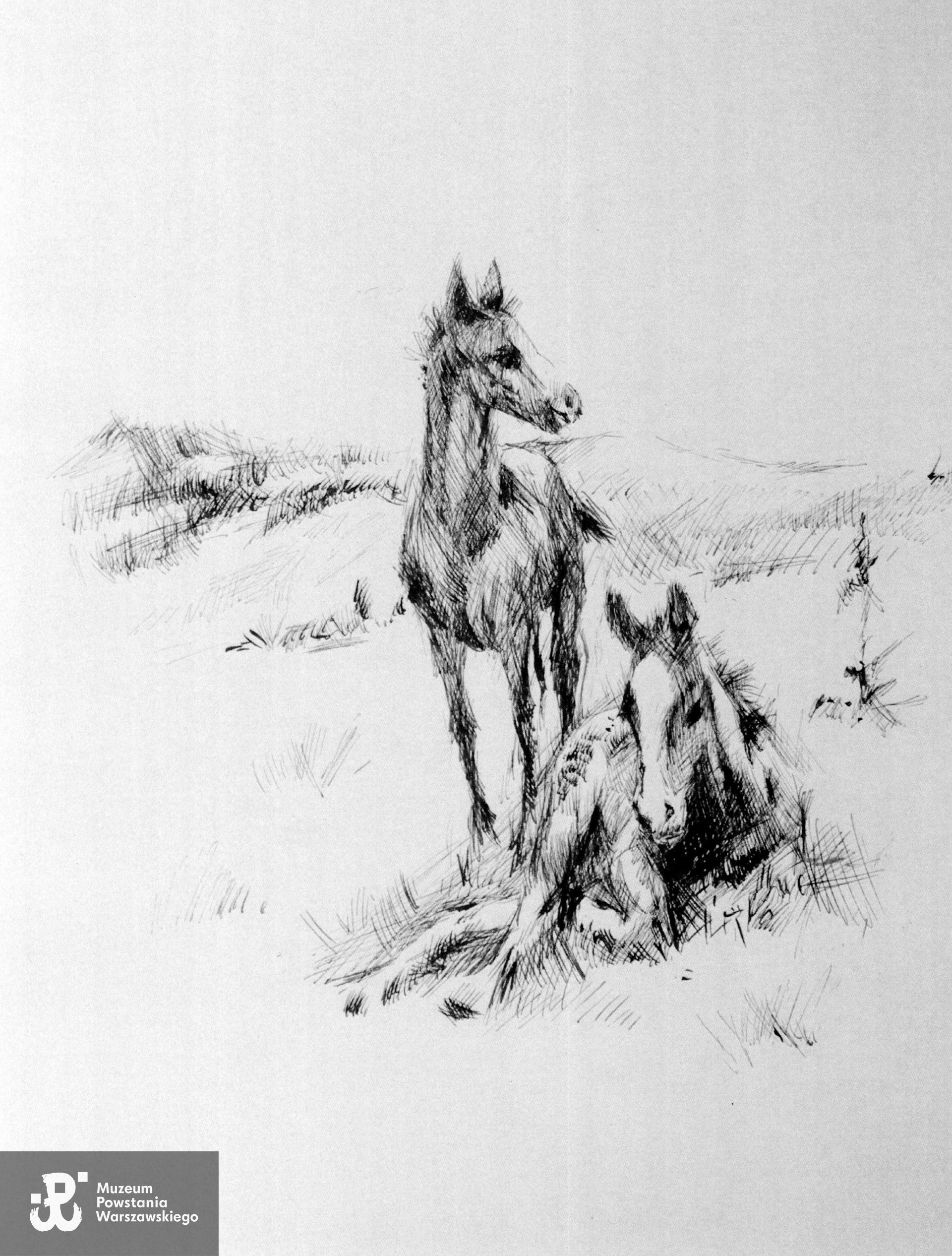 Grafika Stanisławy Saloni. Skan udostępnił p. Tomasz Michałowski (Stowarzyszenie Żołnierzy Armii Krajowej Żywiciel i Miłośników Ich Tradycji)