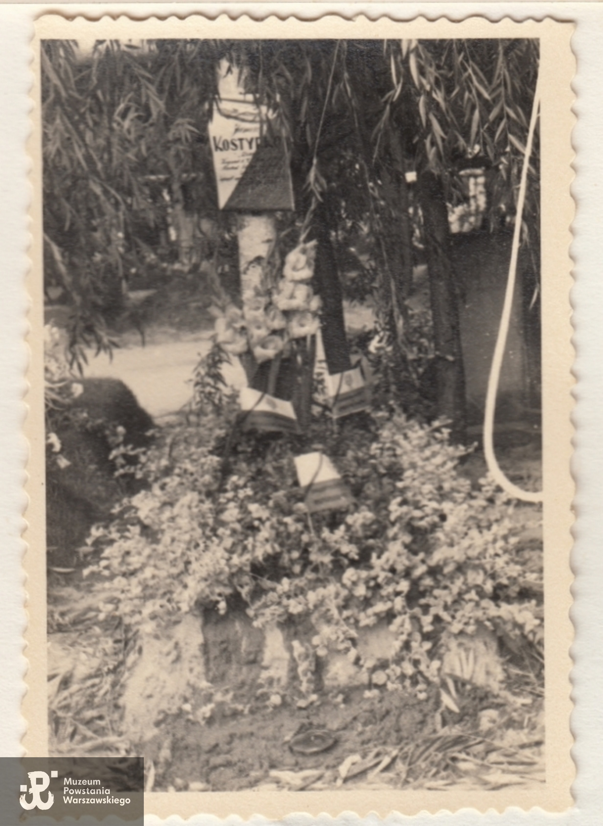 Archiwum rodzinne Andrzeja i Piotra Milewskich