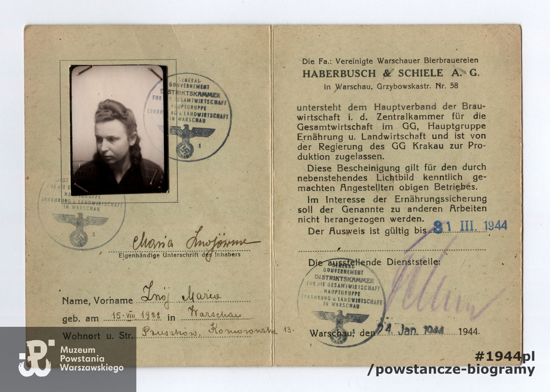 Należący do Marii Znojewskiej dokument wystawiony przez władze niemieckie - zaświadczenie o zatrudnieniu, (niem. Arbeitsbescheinigung), potwierdzający, że Maria Znojewska (w dokumencie Znojówna - nazwisko Znój), zatrudniona jest w  Browarach Haberbusch i Schiele w Warszawie, przy ul. Grzybowskiej 58. Ze zbiorów p. Marii Znojewskiej