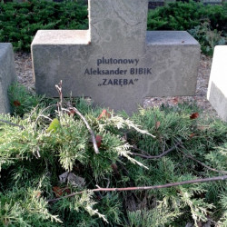 Mogiła plut. Aleksandra Bibika na Cmentarzu Wojennym w Budach Zosinach. Fot. Mariusz Skroński