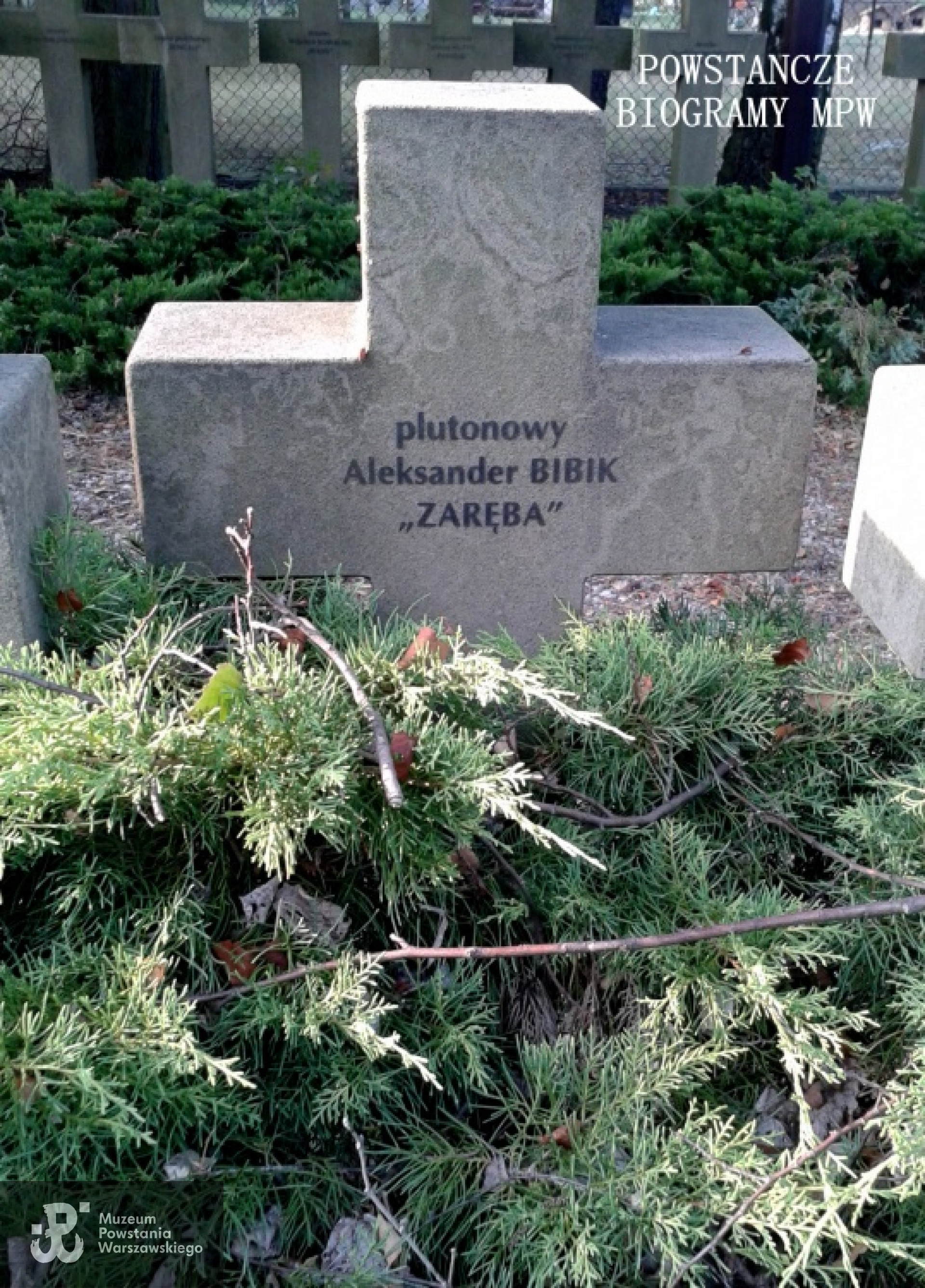 Mogiła plut. Aleksandra Bibika na Cmentarzu Wojennym w Budach Zosinach. Fot. Mariusz Skroński