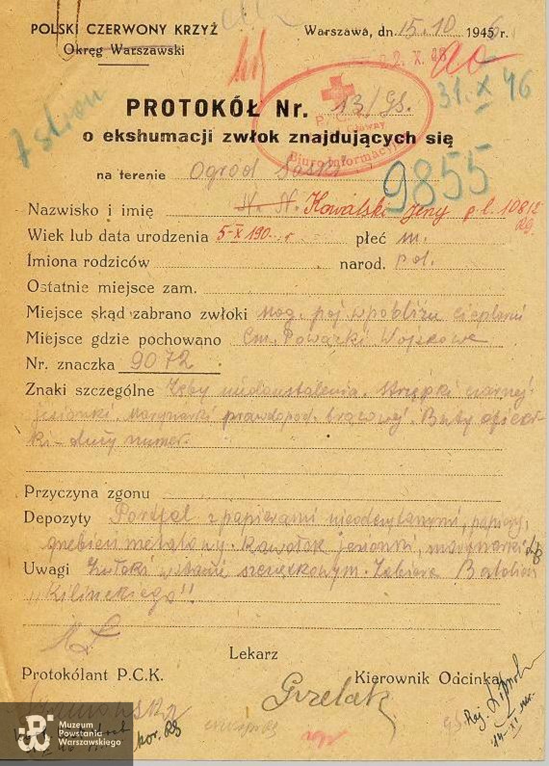 Protokół z ekshumacji zwłok przeprowadzonej przez Polski Czerwony Krzyż  15.10.1946 roku.  Dokument wystawiony na nazwisko Jerzy Kowalski (fałszywa tożsamość K. Jaworskiego z okresu okupacji niemieckiej).  Ze zbiorów PCK