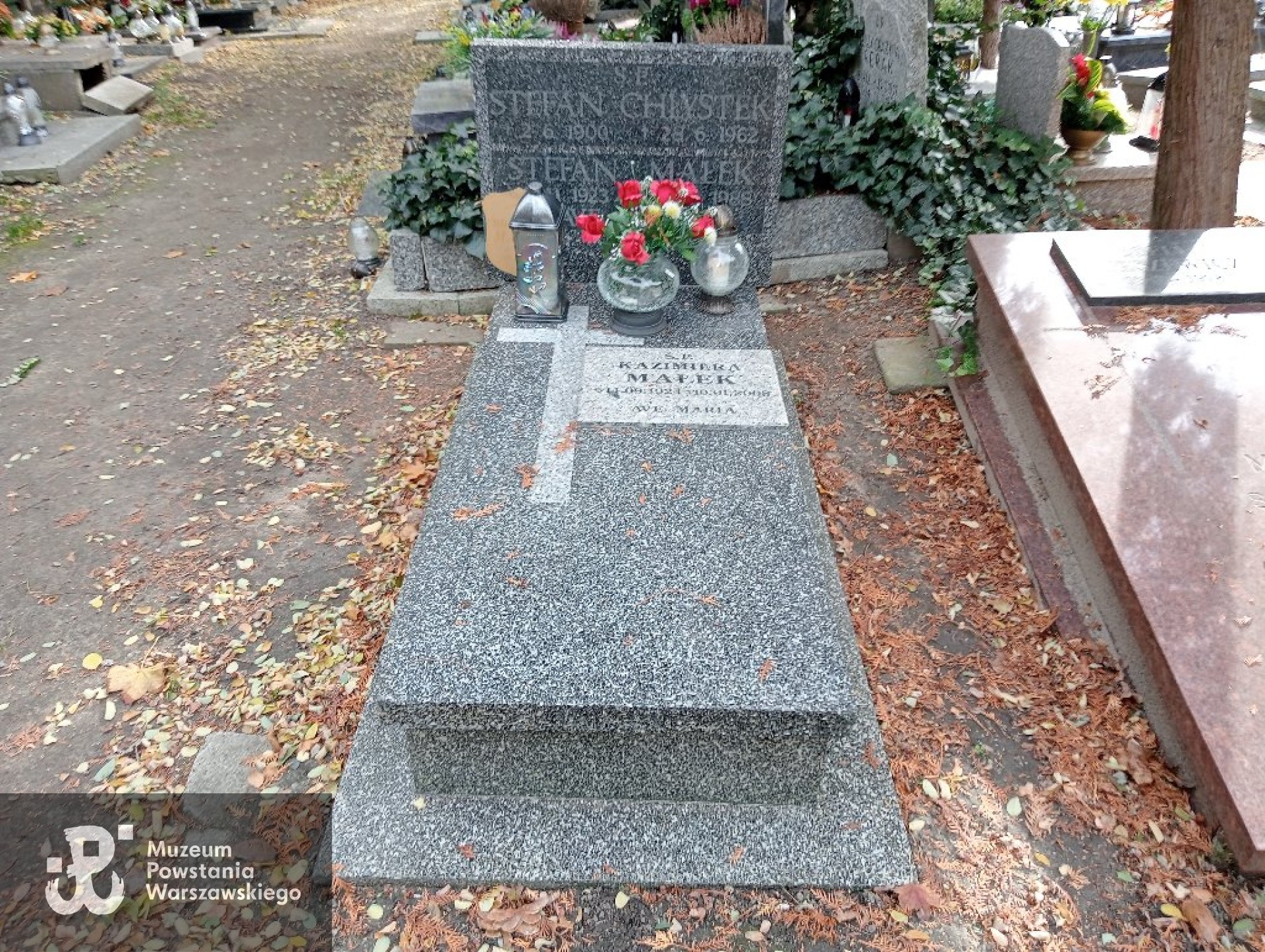 Wrocław, Cmentarz Katedralny św. Wawrzyńca przy ul. Bujwida 51, Pole 7b, rząd B/24