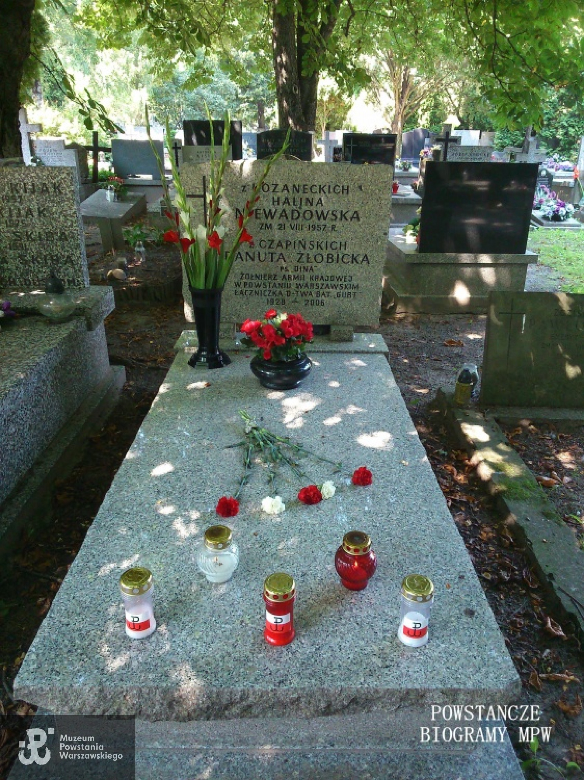 Fot. udostępnione przez Justynę Szczepańską