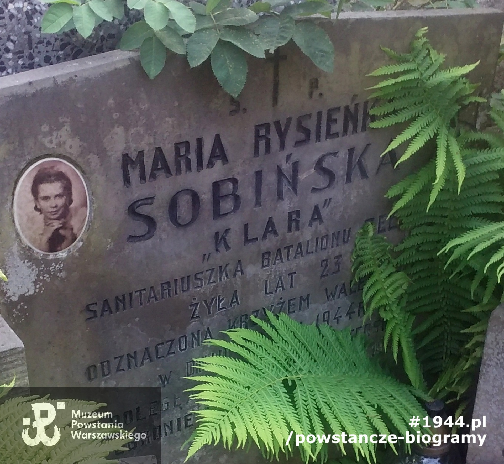 Mogiła na Powązkach Wojskowych. Fot. udostępniła Magdalena Ciok