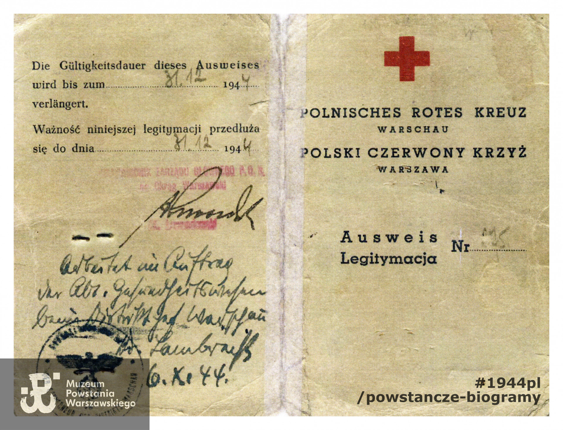 Zaświadczenie (Ausweis) o zatrudnieniu w Polskim Czerwonym Krzyżu w charakterze lekarza. Dokument wystawiony w grudniu 1943 roku. Dokument ze  zbiorów rodzinnych