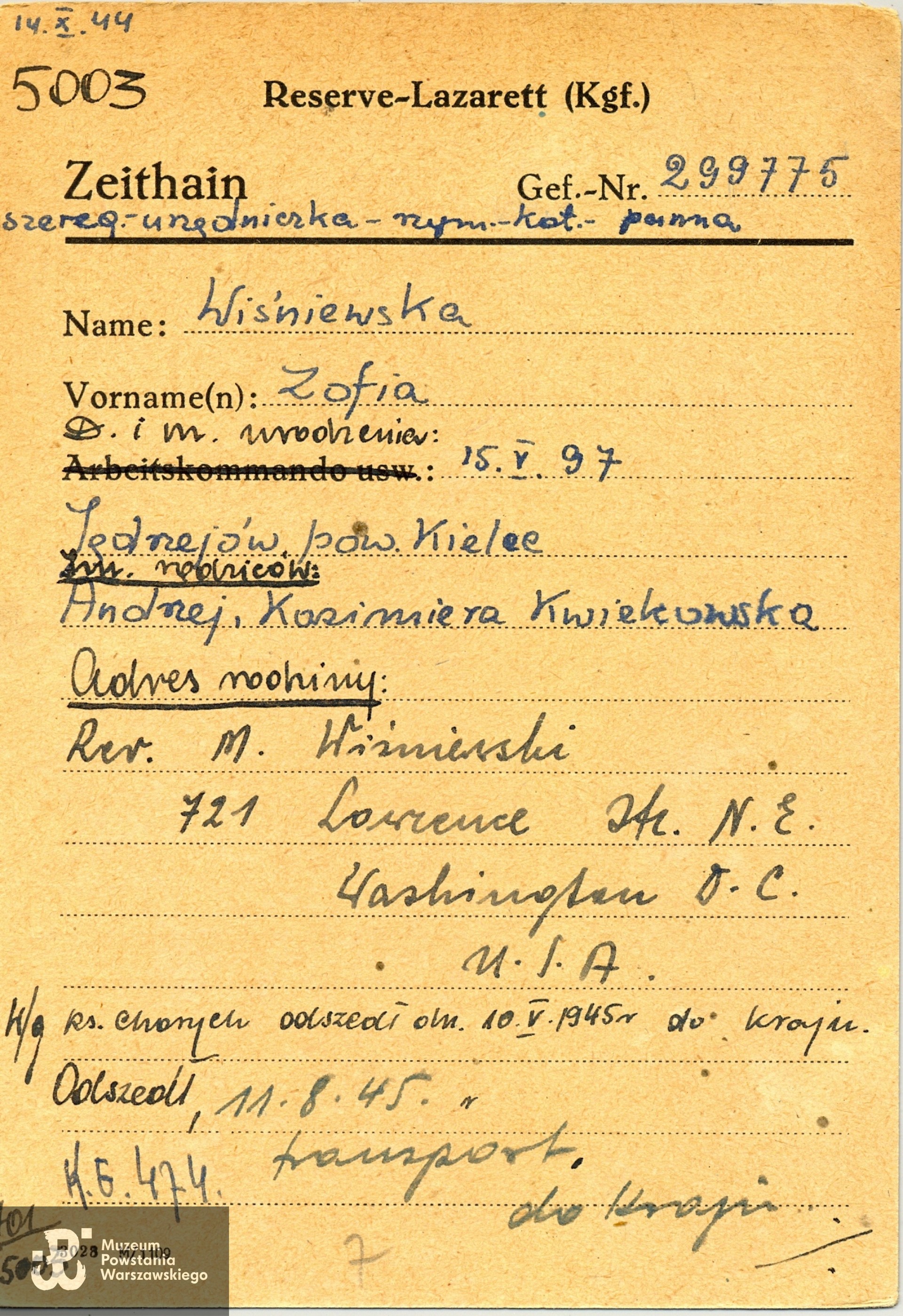 Polski Czerwony Krzyż - kartoteka