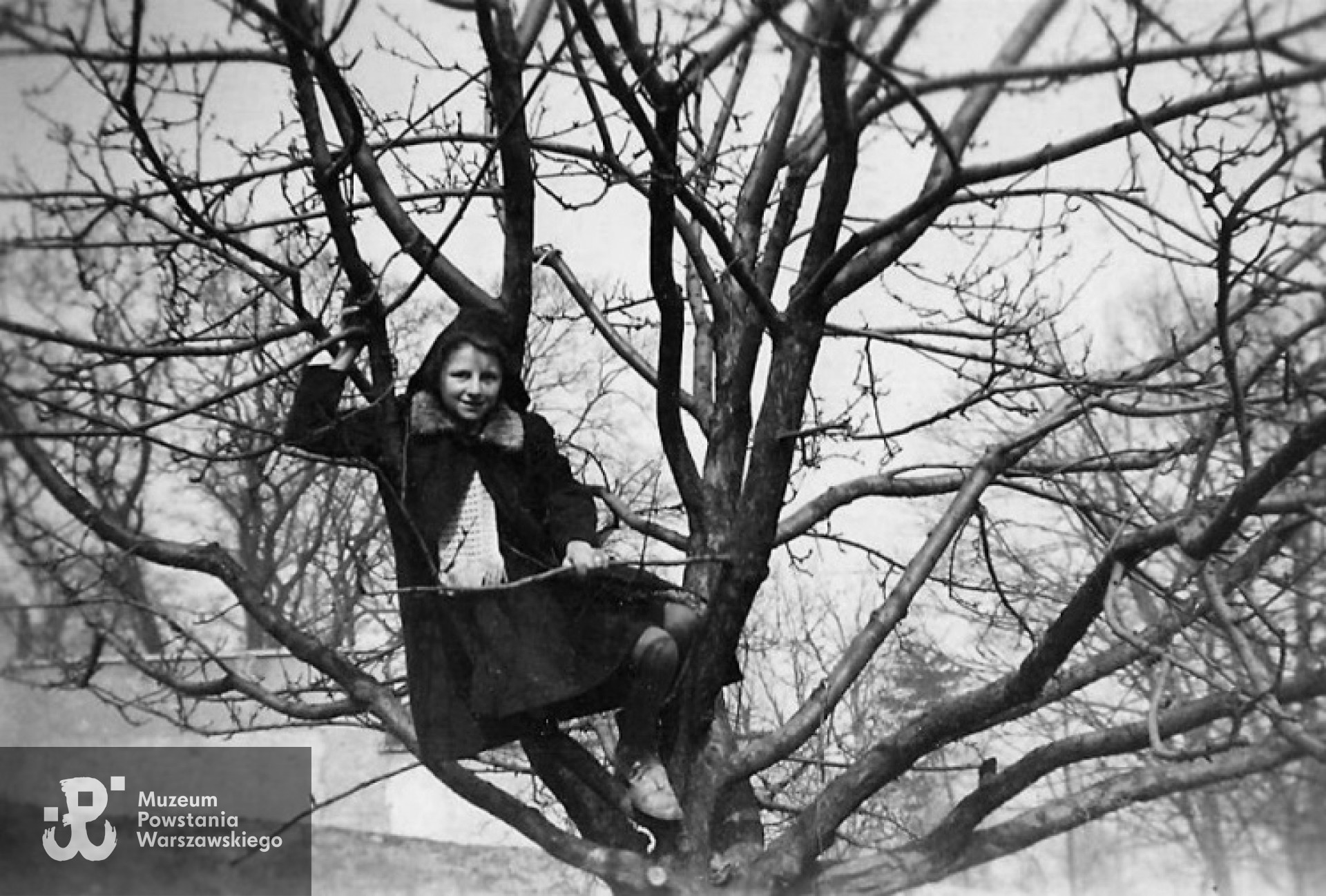 Maria Jadwiga Łodzińska, zdjęcie okupacyjne. Z archiwum rodzinnego Witolda Smoleńskiego