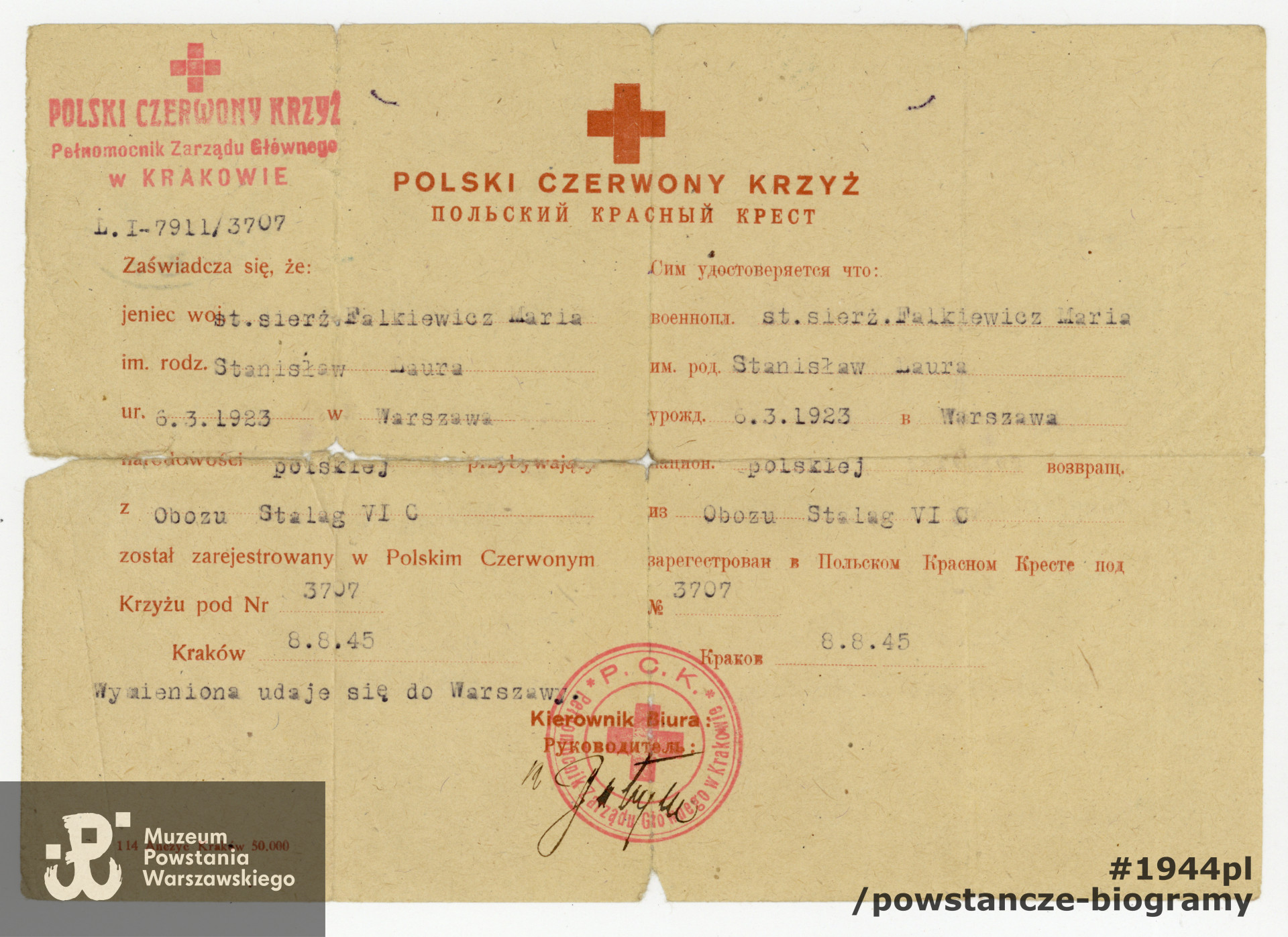 Zaświadczenie PCK. Dokument ze zbiorów rodzinnych p. Jerzego Sajdaka, syna.