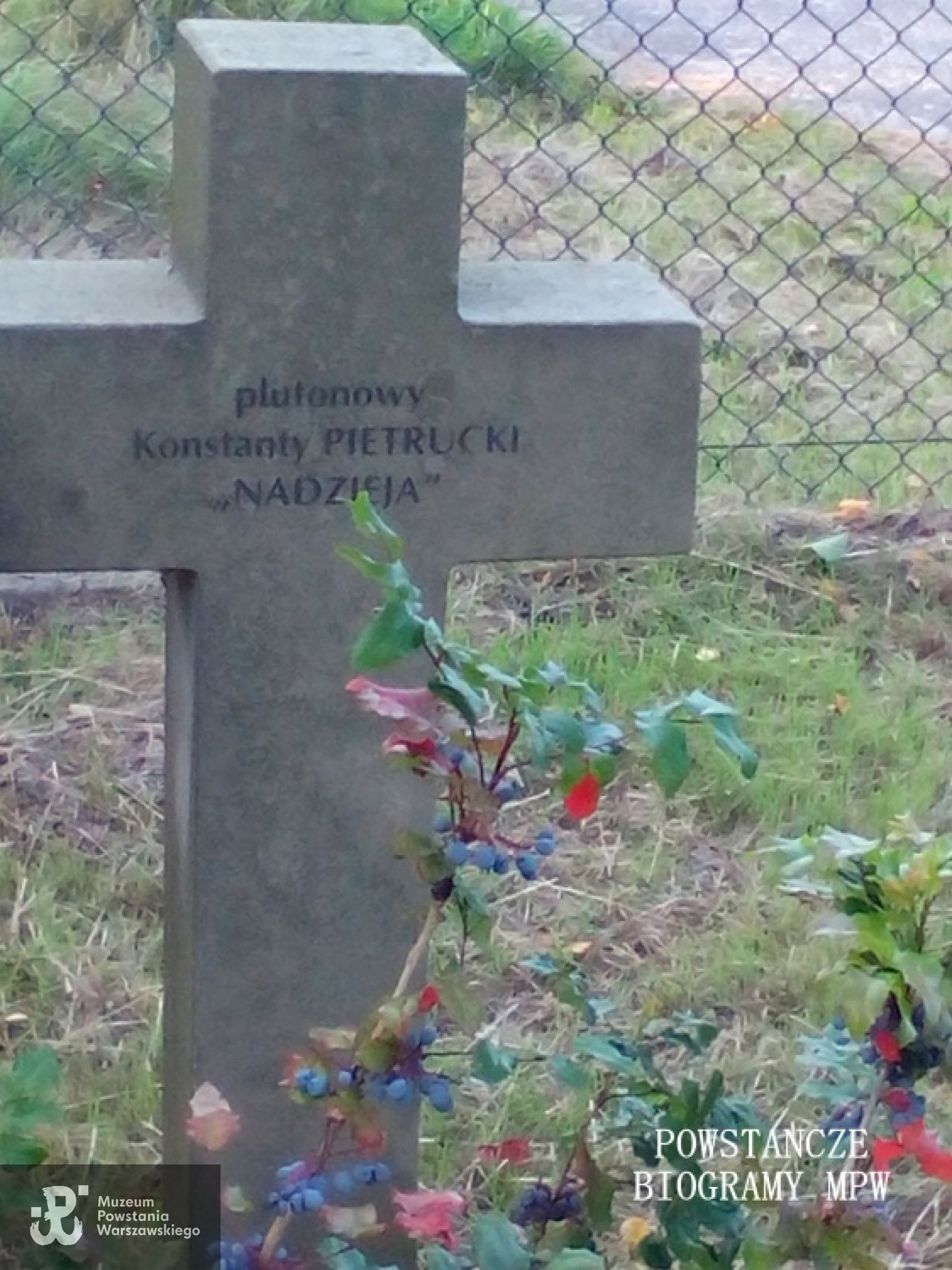 Mogiła Konstantego Pietruckiego na Cmentarzu Wojennym w Budach Zosinych. Fot. Mariusz Skroński