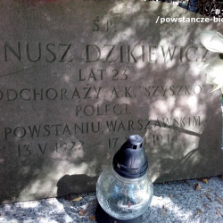 Cmentarz w Podkowie Leśnej. Fot. Mariusz Skroński.