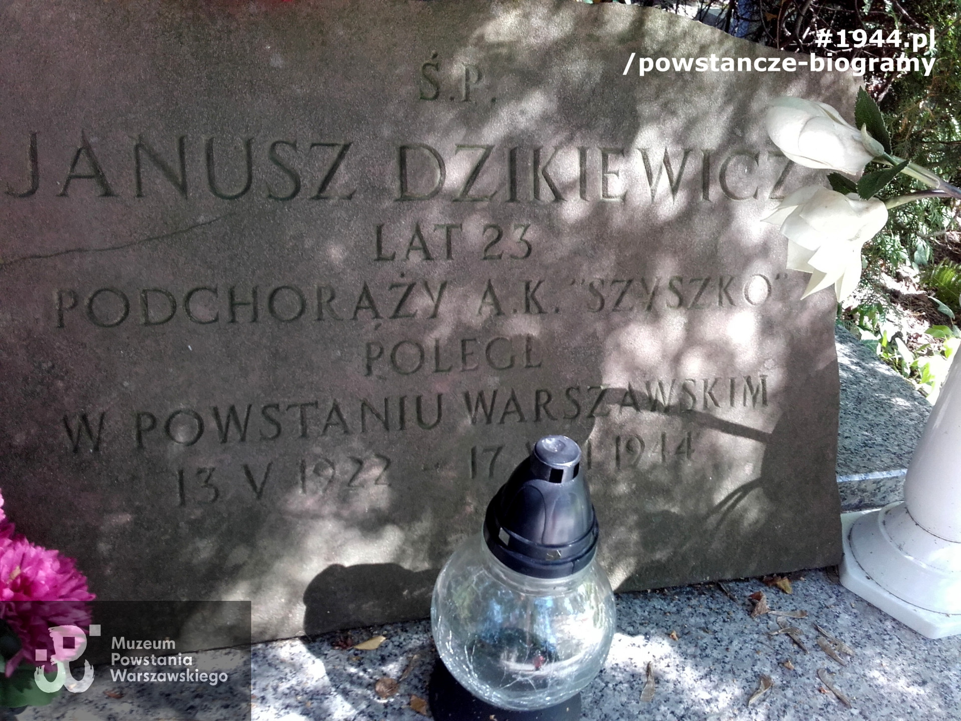 Cmentarz w Podkowie Leśnej. Fot. Mariusz Skroński.