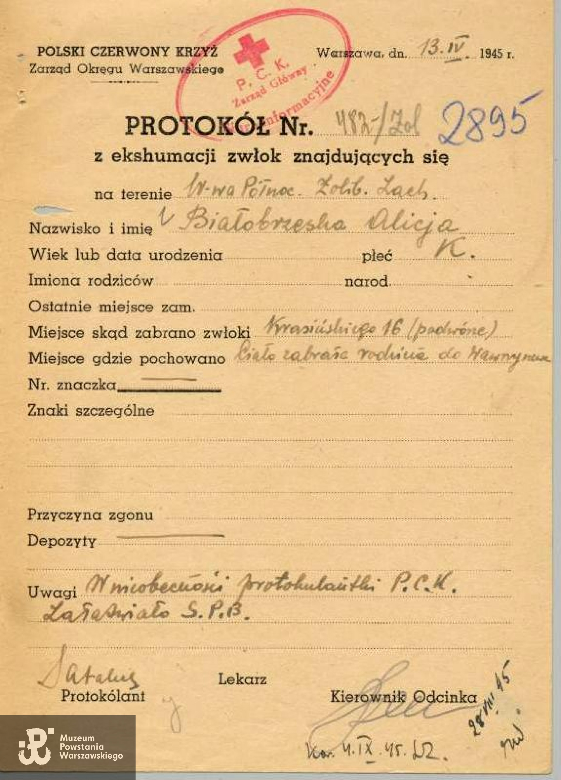 Protokół z ekshumacji przeprowadzonej 13.04.1945 roku przy ul. Krasińskiego 16 - Polski Czerwony Krzyż - Lista strat 2895