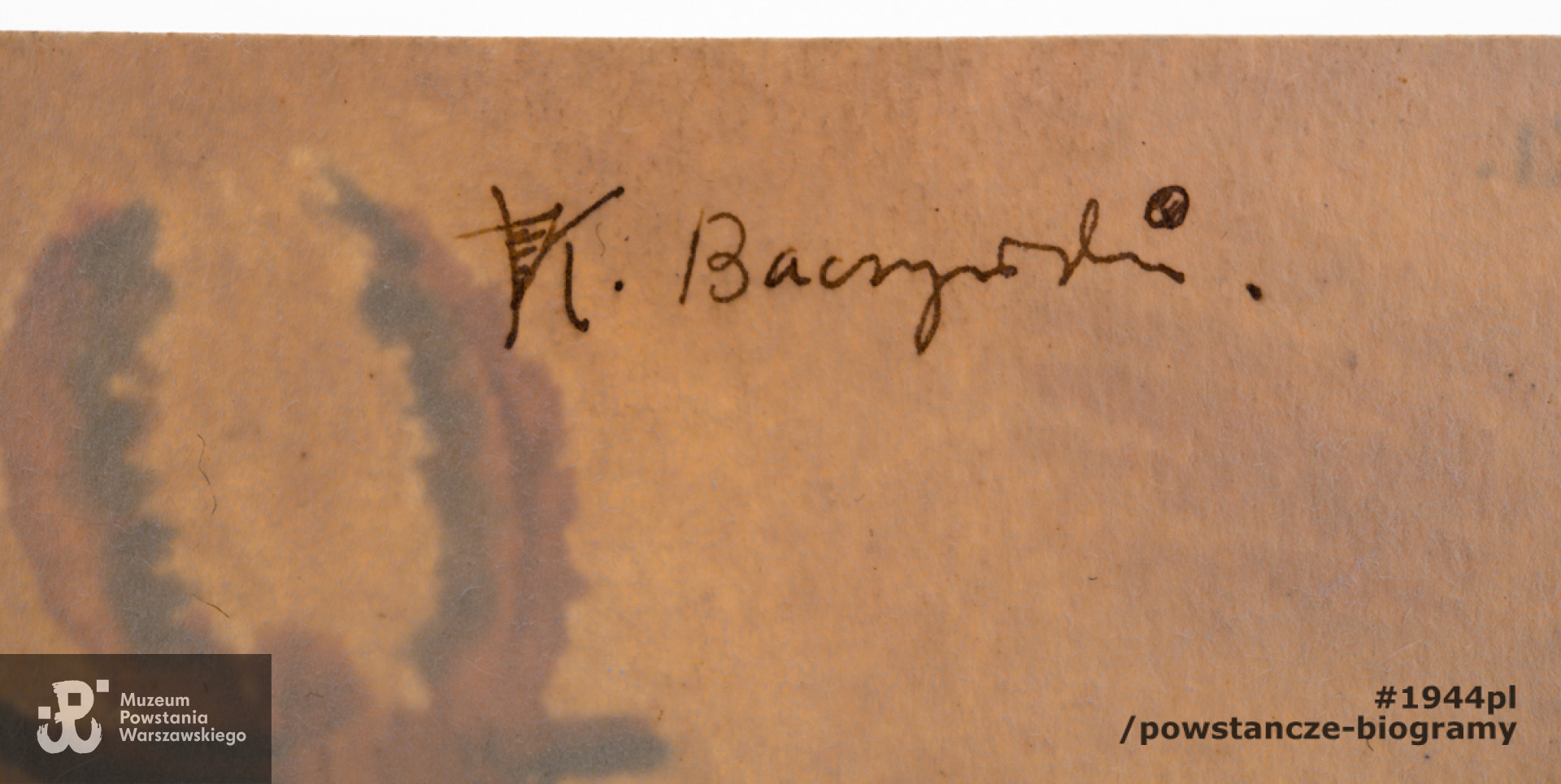 Rysunek  autorstwa Krzysztofa Kamila Baczyńskiego, przedstawiający jelonka. Akwarela była własnością   Józefa Sosnowskiego, który otrzymał go od poety w 1942 roku.   Józef Sosnowski ps. "Brzeziński" w konspiracji i w Powstaniu Warszawskim w Komendzie Głównej AK - Oddział BiP (Biuro Informacji i Propagandy). Józef Sosnowski i Krzysztof Kamil Baczyński byli sąsiadami i mieszkali przy ul. Hołówki w Warszawie. Akwarelę w 2017 roku do zbiorów Muzeum Powstania Warszawskiego przekazała P. Jadwiga Jaromińska