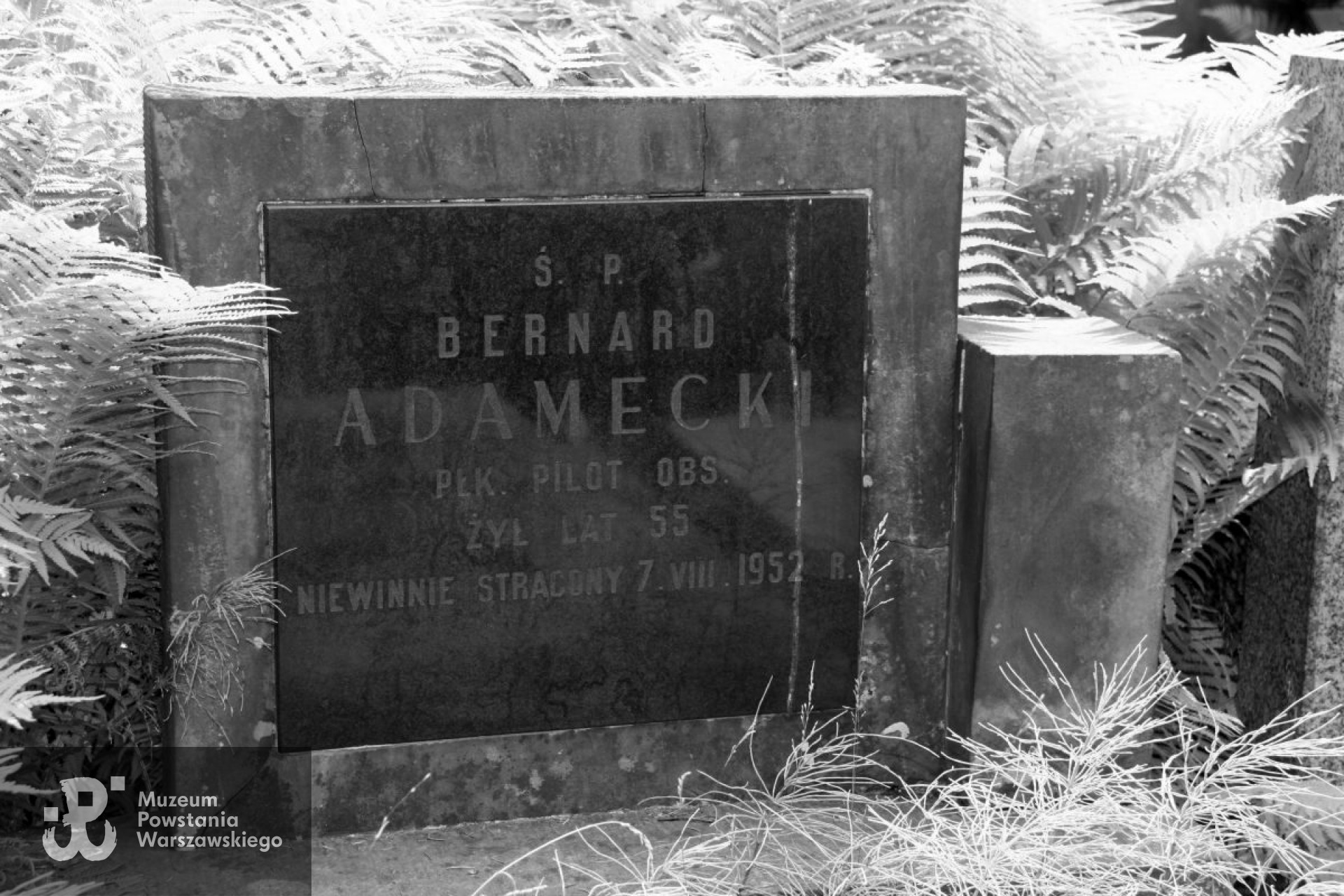 Mogiła symboliczna - Cmentarz Wojskowy na Powązkach, Kwatera: C14. Źródło fot. <i>lotniczyspacerpowarszawie.pl</i>