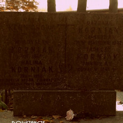 Cmentarz Bródnowski w Warszawie. Fot. MPW