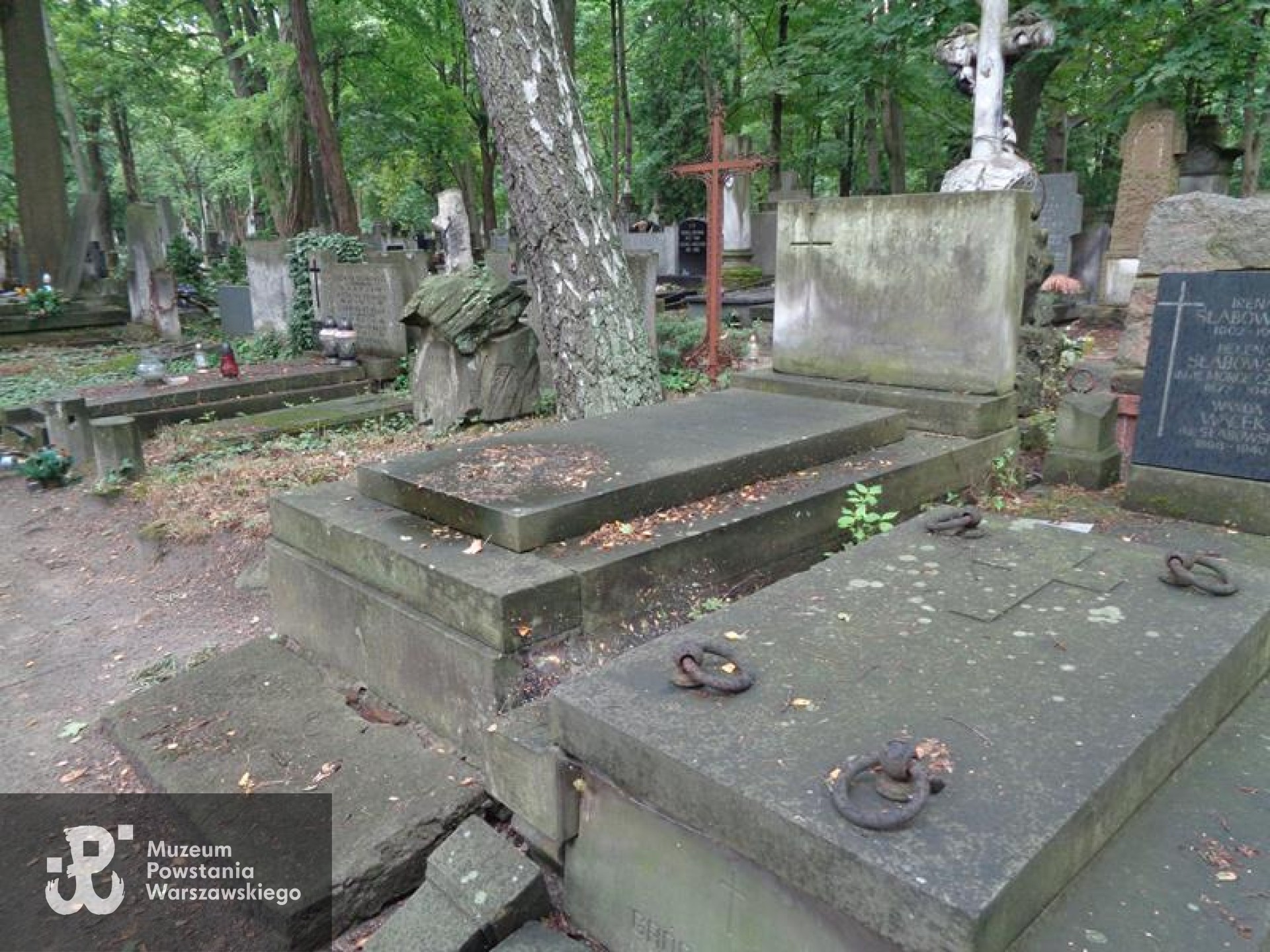 Cmentarz Powązkowski w Warszawie, kwatera 249, rząd 3, grób 2