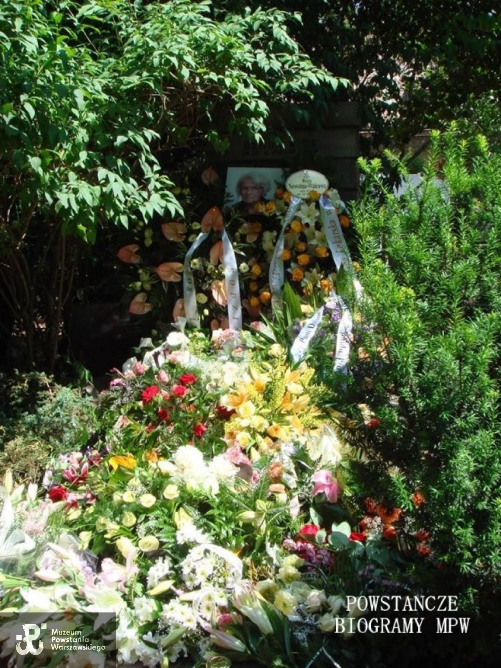 Uroczystości pogrzebowe na Cmentarzu Ewangelicko-Reformowanym, 18 lipca 2015 r. Fot. Jan Wawszczyk