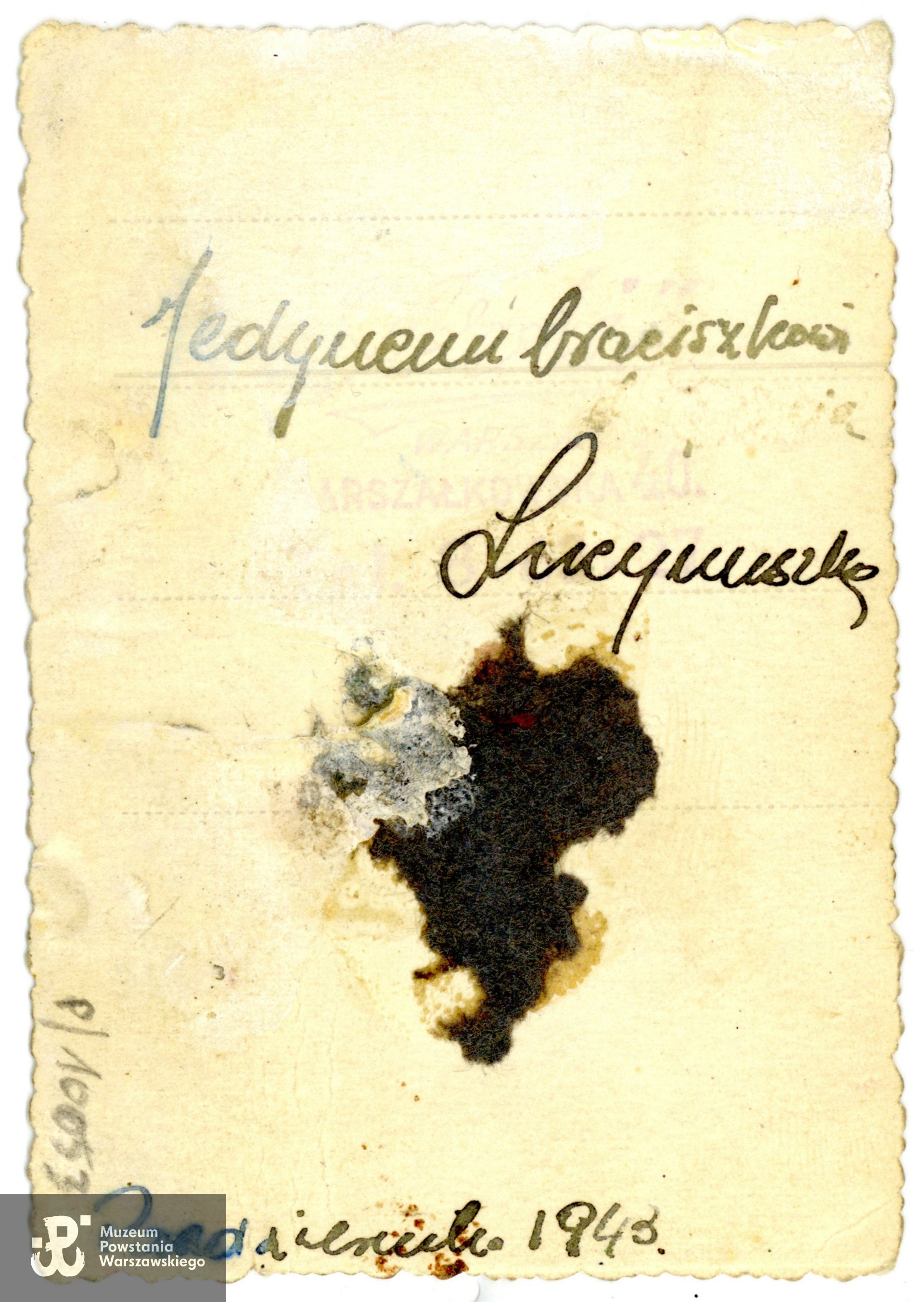 Fotografia portretowa z 1943 roku, na rewersie dedykacja dla brata. Ze zbiorów Muzeum Powstania Warszawskiego, P/10053/25, dar p. Marii Burowskiej, córki