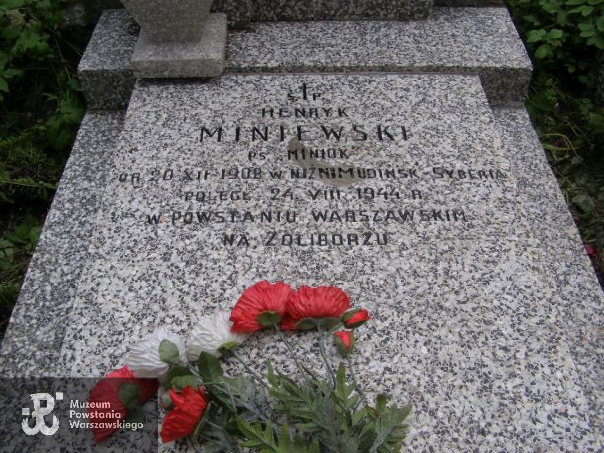 Cmentarz Wojskowy na Powązkach, kw. A-25, rząd 16, grób 8, miejsce pochowania Henryka Miniewskiego i Franciszka Wiazewicza (Wiażewicza). Fot. udostępnił p. Zbigniew Miniewski.