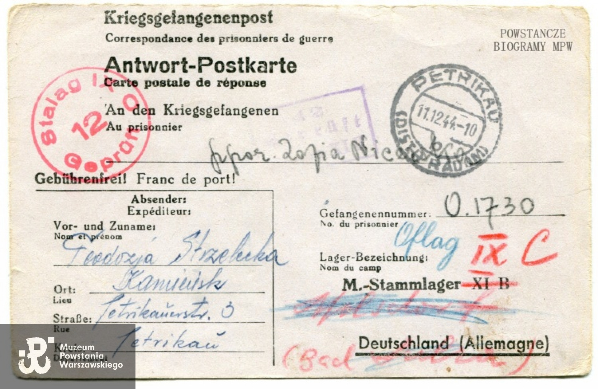 Dokument udostępniony przez p. Barbarę Mioduszewską-Caelles