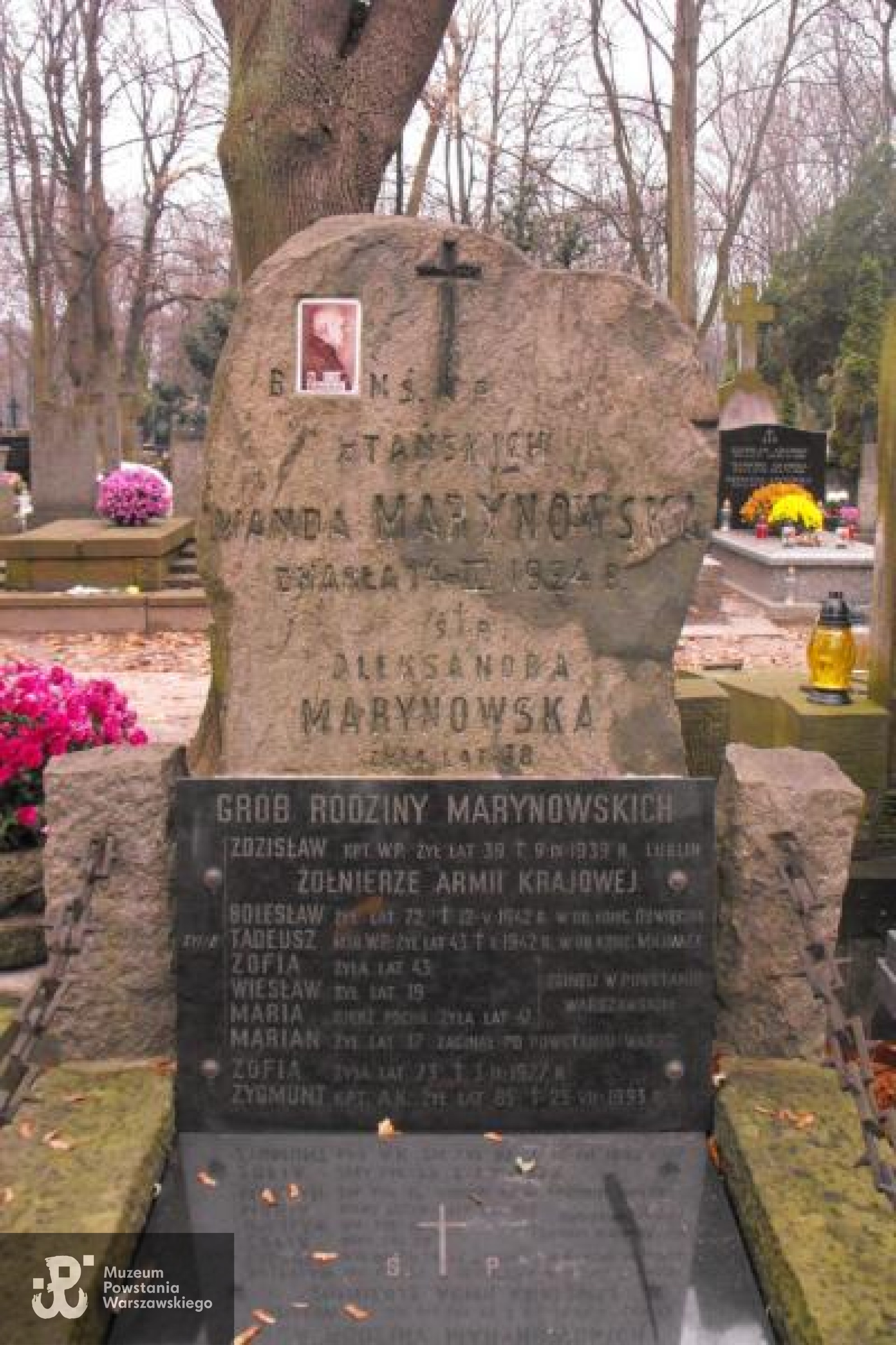 Cmentarz Powązkowski w Warszawie, kwatera 89, rząd 2, grób 22