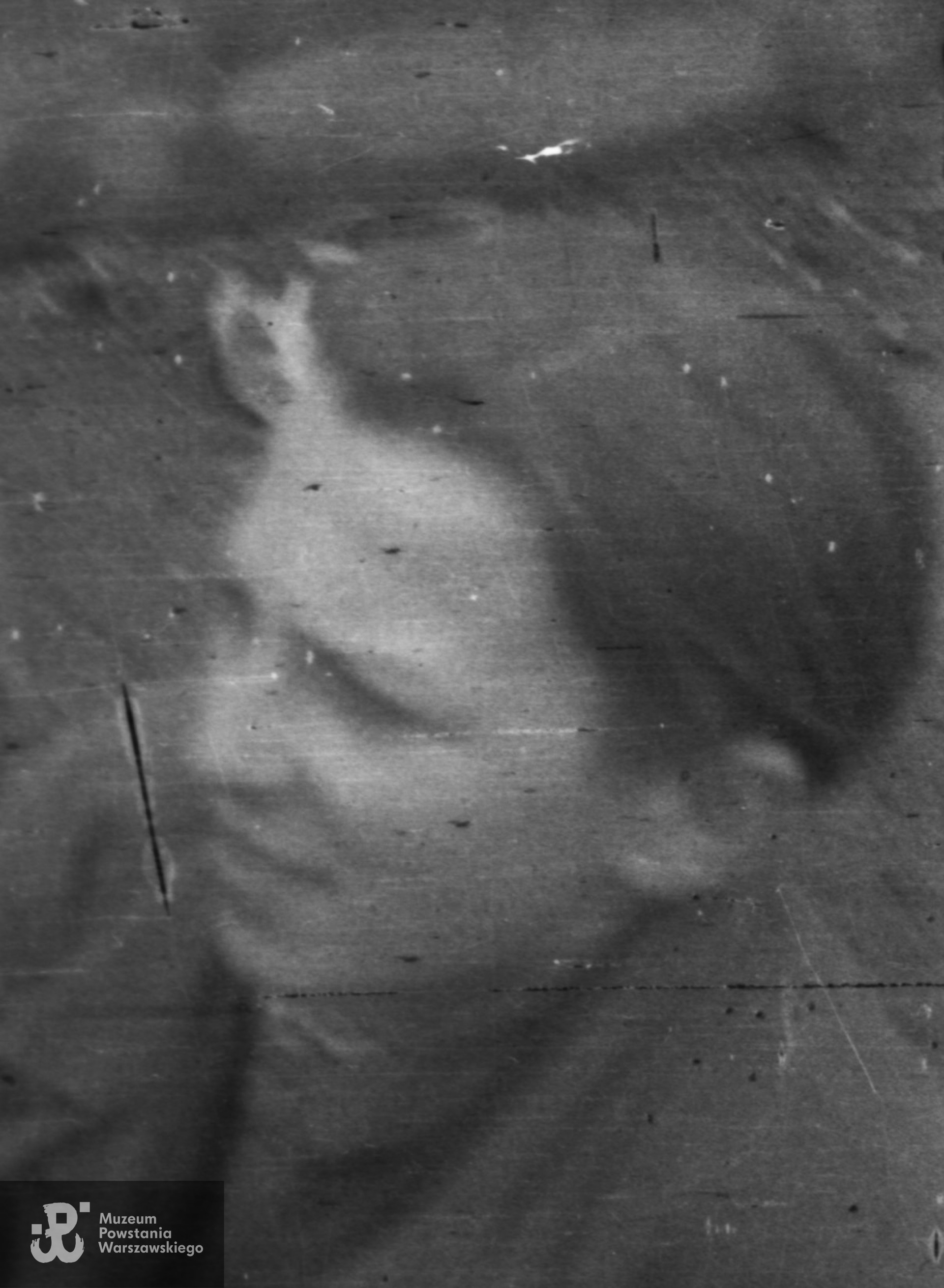 Powiększony fragment szerszego ujęcia,  sygn. MPW-IN/4236