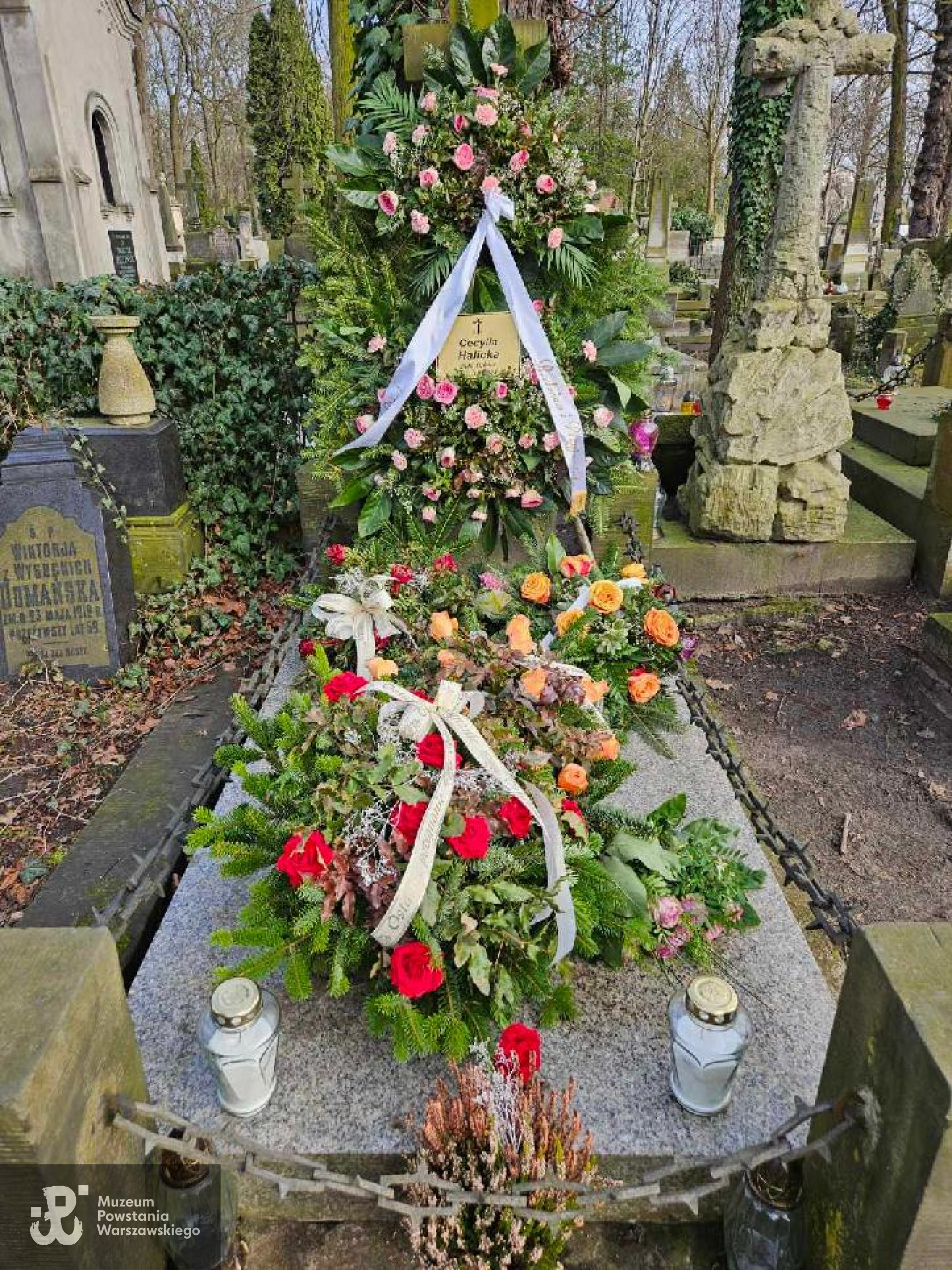 Cmentarz Powązkowski  (Stare Powązki), kwatera 175, rząd 4, grób 12. Fot. udostępniła p. Agnieszka Kotowska