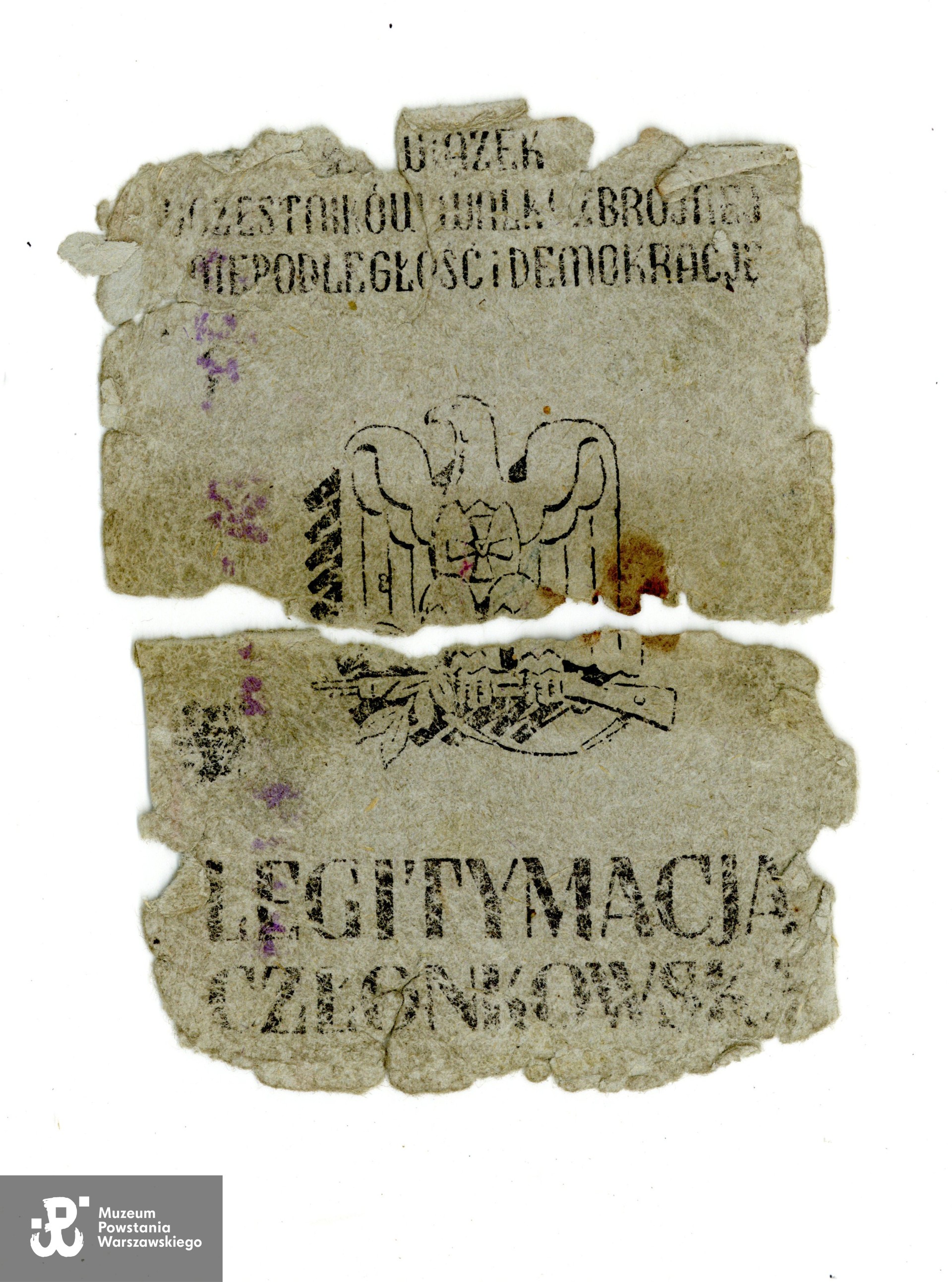 Legitymacja członkowska ZBoWiD. Muzeum Powstania  Warszawskiego, pamiątka oznaczona sygn. "przy P/9718", dar p. Mirosława Jakubiaka, syna Powstańca