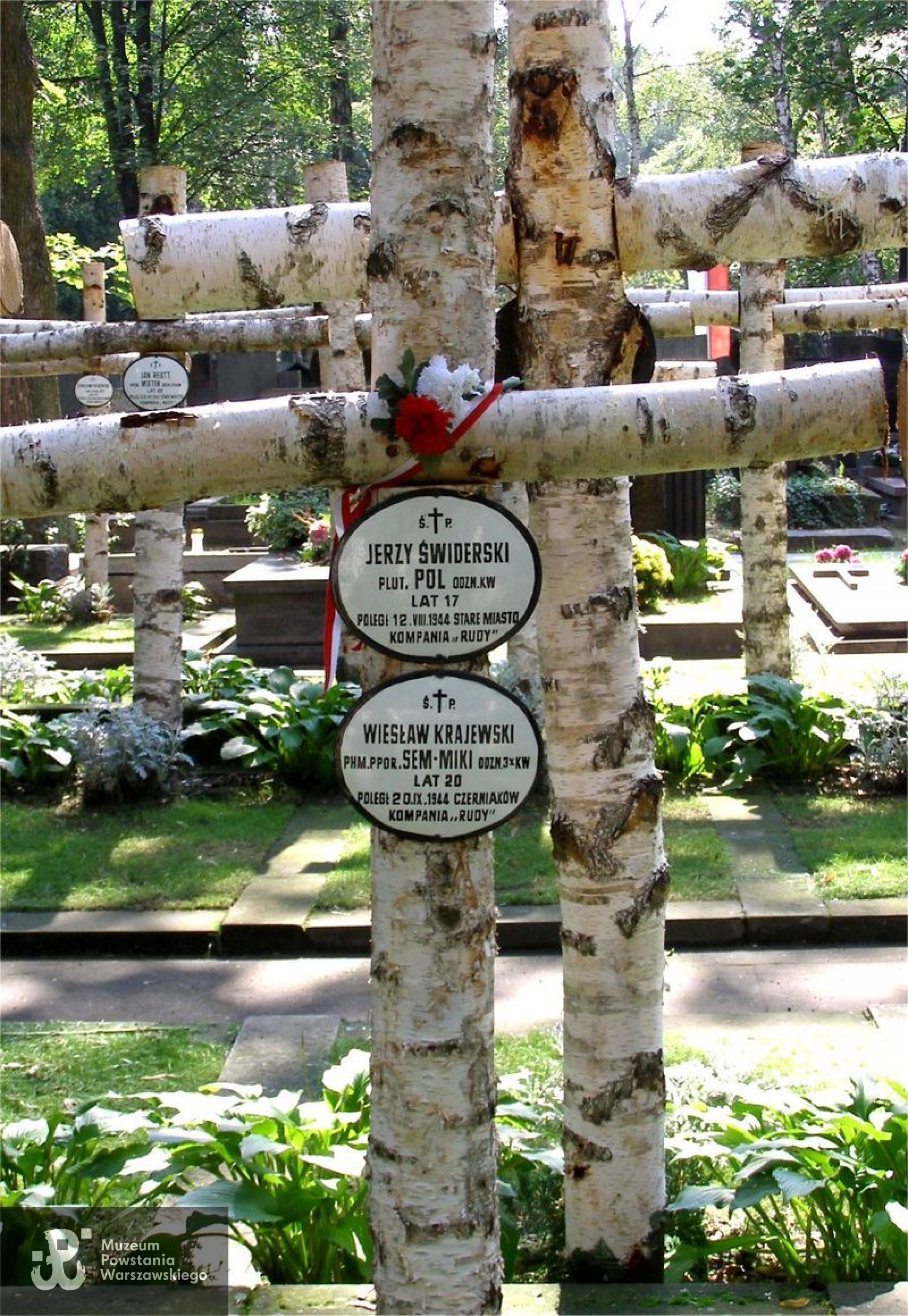 Fot. Wikipedia - domena publiczna