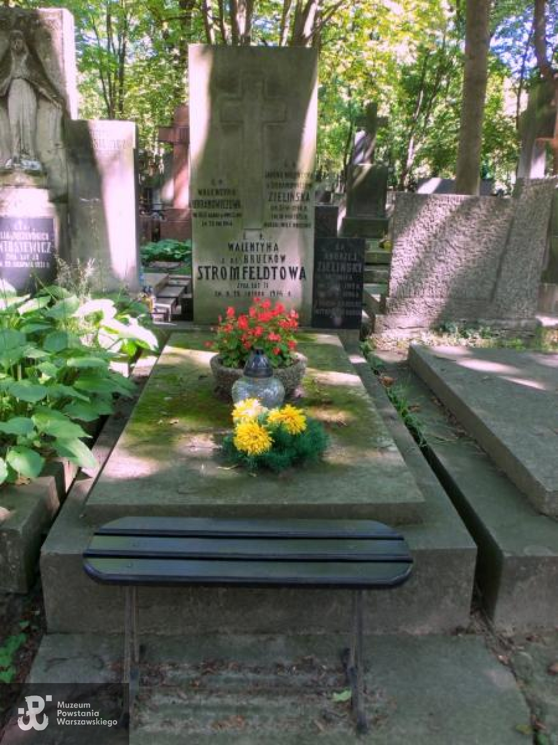Cmentarz Powązkowski w Warszawie (Stare Powązki), kwatera  60, rząd 6, miejsce 26 (grób Walentyny Stromfeldtowej z 1914 r.). Fot. Warszawskie Zabytkowe Pomniki Nagrobne:  <i>cmentarze.um.warszawa.pl</i>
