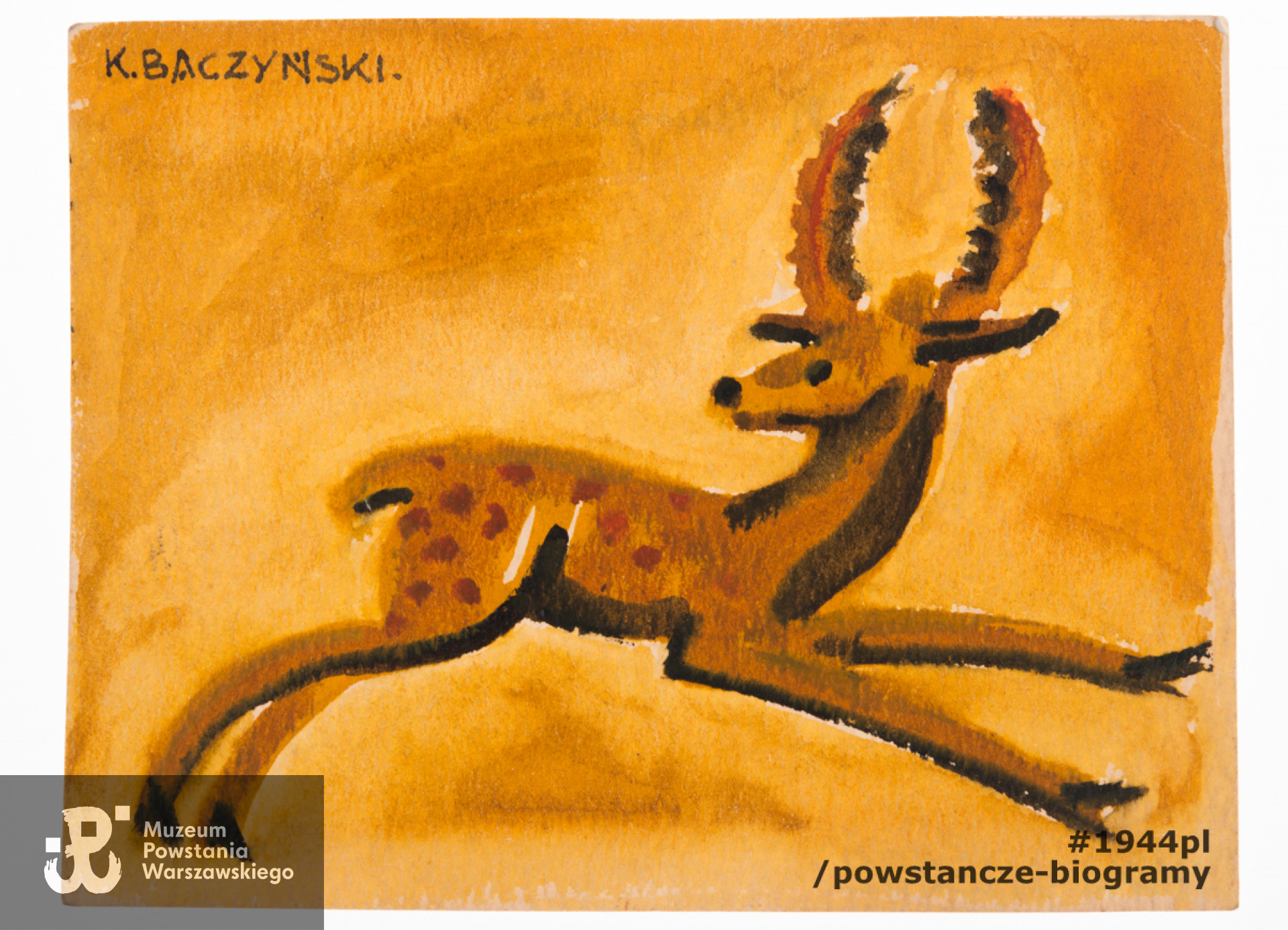 Rysunek  autorstwa Krzysztofa Kamila Baczyńskiego, przedstawiający jelonka. Akwarela była własnością   Józefa Sosnowskiego, który otrzymał go od poety w 1942 roku.   Józef Sosnowski ps. "Brzeziński" w konspiracji i w Powstaniu Warszawskim w Komendzie Głównej AK - Oddział BiP (Biuro Informacji i Propagandy). Józef Sosnowski i Krzysztof Kamil Baczyński byli sąsiadami i mieszkali przy ul. Hołówki w Warszawie. Akwarelę w 2017 roku do zbiorów Muzeum Powstania Warszawskiego przekazała P. Jadwiga Jaromińska