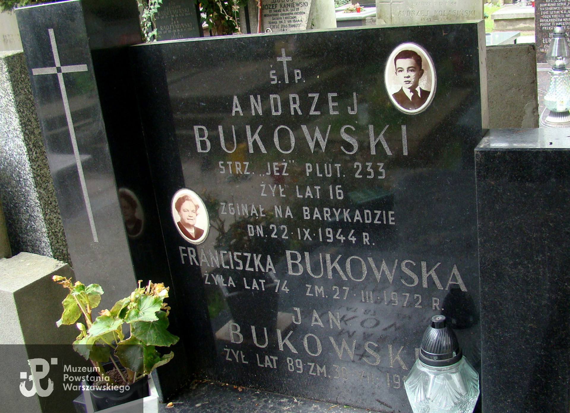  Cmentarz Wojskowy na Powązkach , kw. A 23-4-27. Fot. udostępniła p. Beata Trzcińska