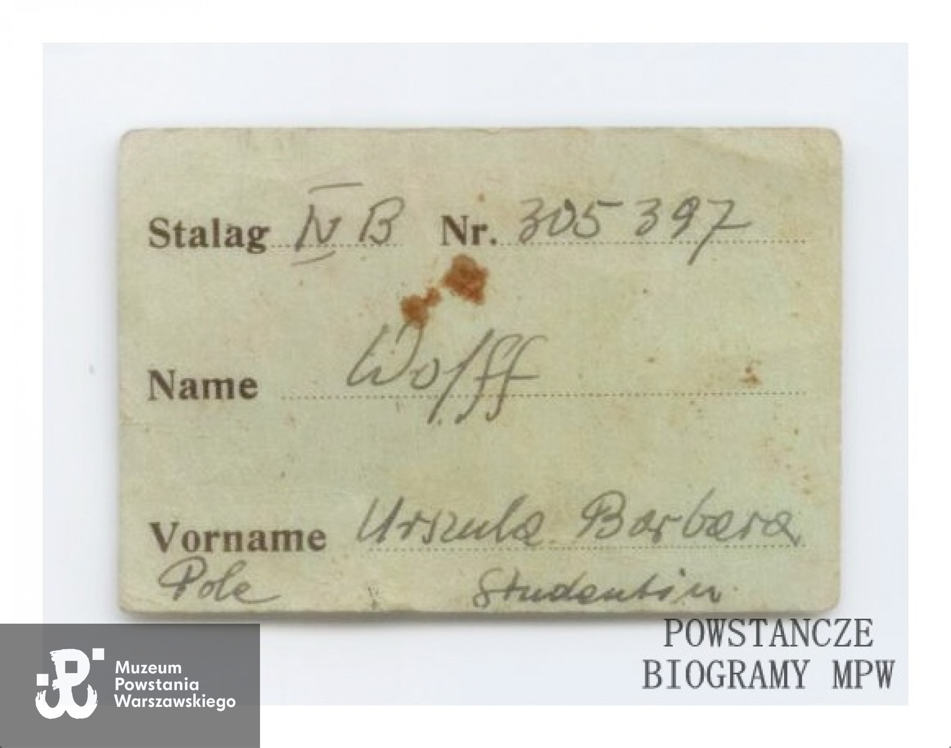 Z archiwum rodzinnego Anety Krent