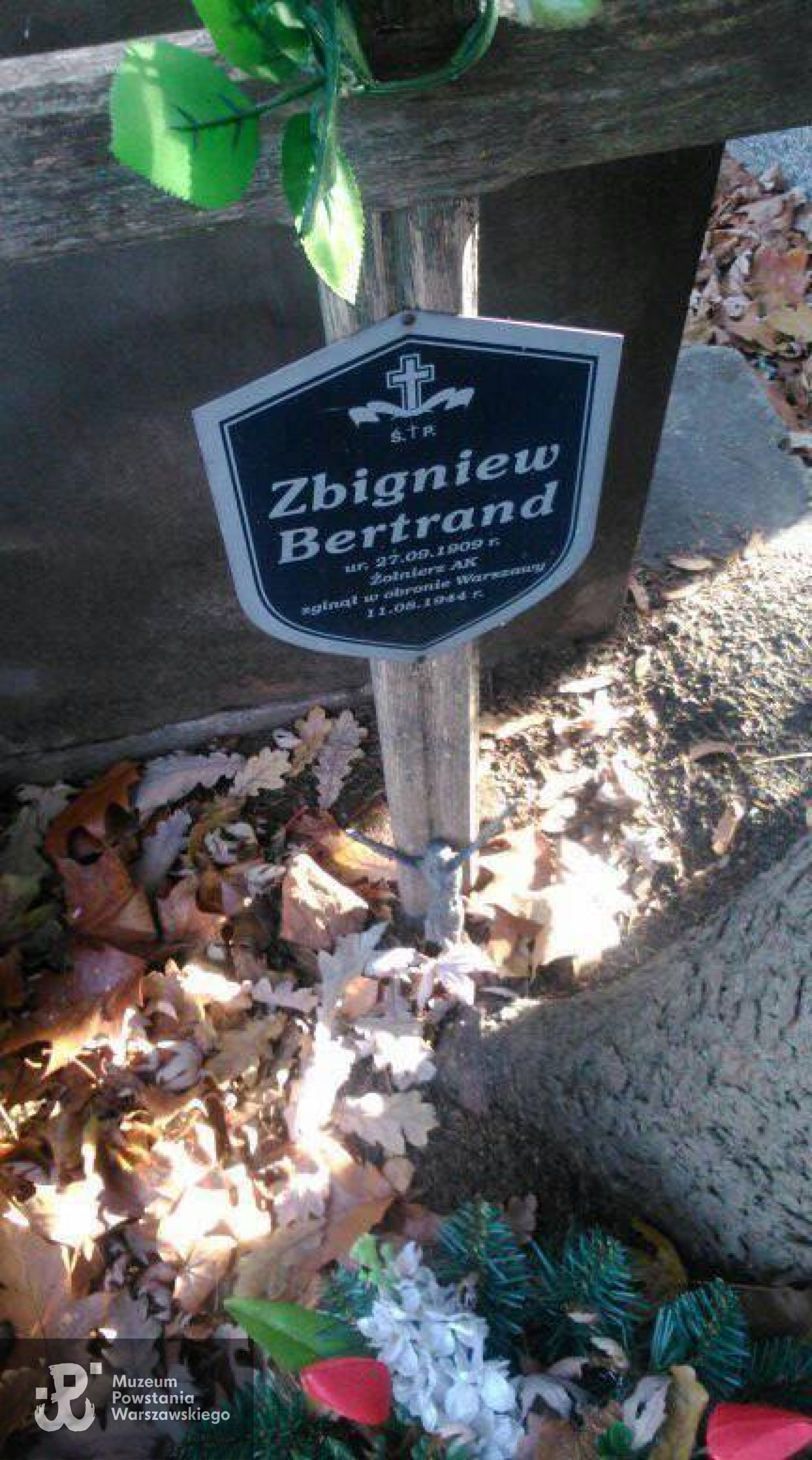 Fot. Beata Trzcińska