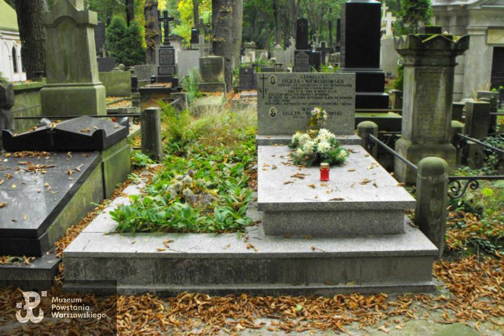 Fot. Warszawskie Zabytkowe Pomniki Nagrobne - <i>cmentarze.um.warszawa.pl</i>