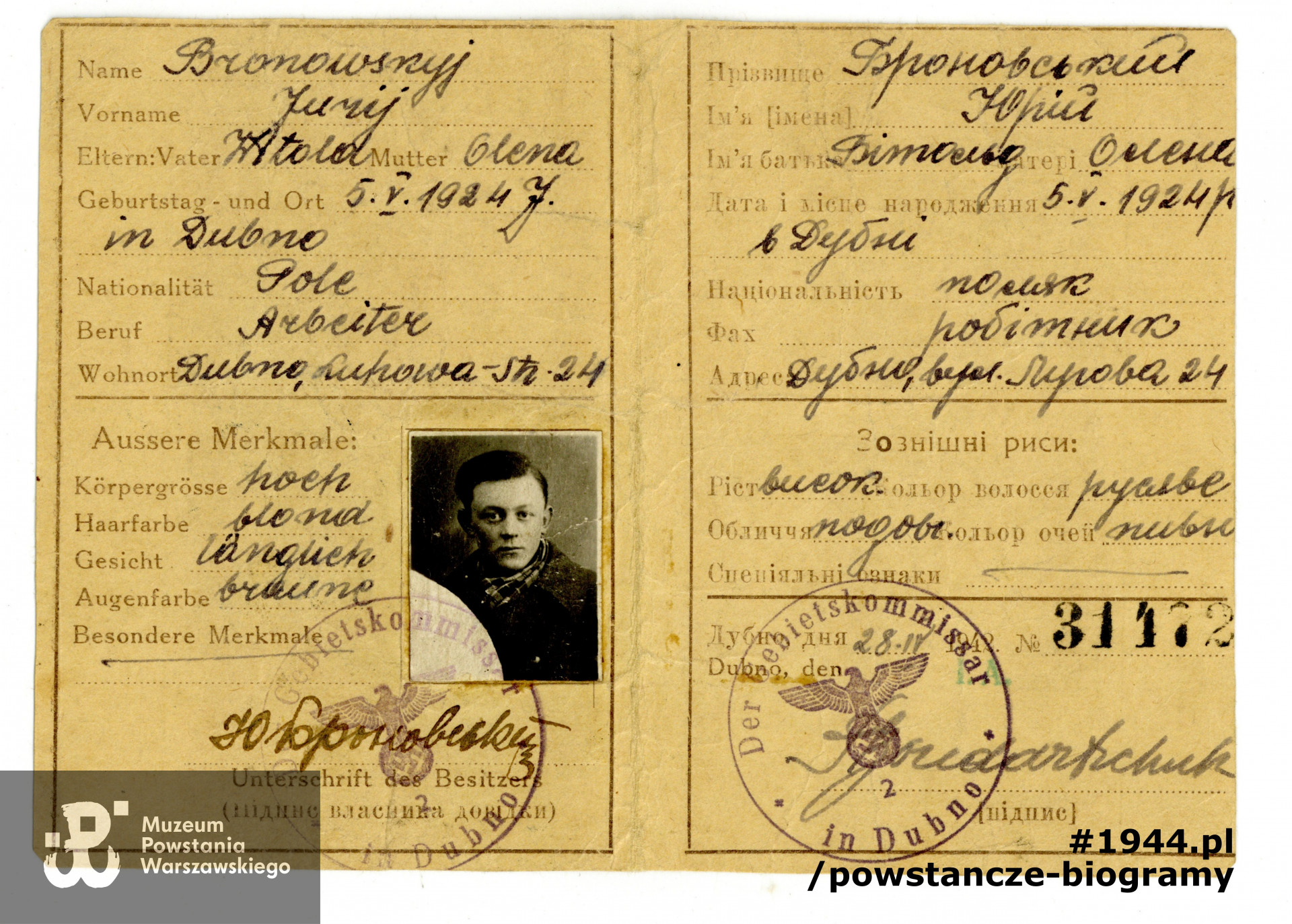 Wydana w Dubnie w 1942 roku karta rozpoznawcza (kennkarte), dokument niemiecko - ukraiński. Ze zbiorów Muzeum Powstania Warszawskiego, sygn. P/5426