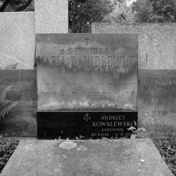 Cmentarz Powązkowski w Warszawie, kwatera 241, rząd 1, miejsce 3-4, grób rodzinny Danielewiczów. Fot. Warszawskie Zabytkowe Pomniki Nagrobne:  <i>cmentarze.um.warszawa.pl</i>
