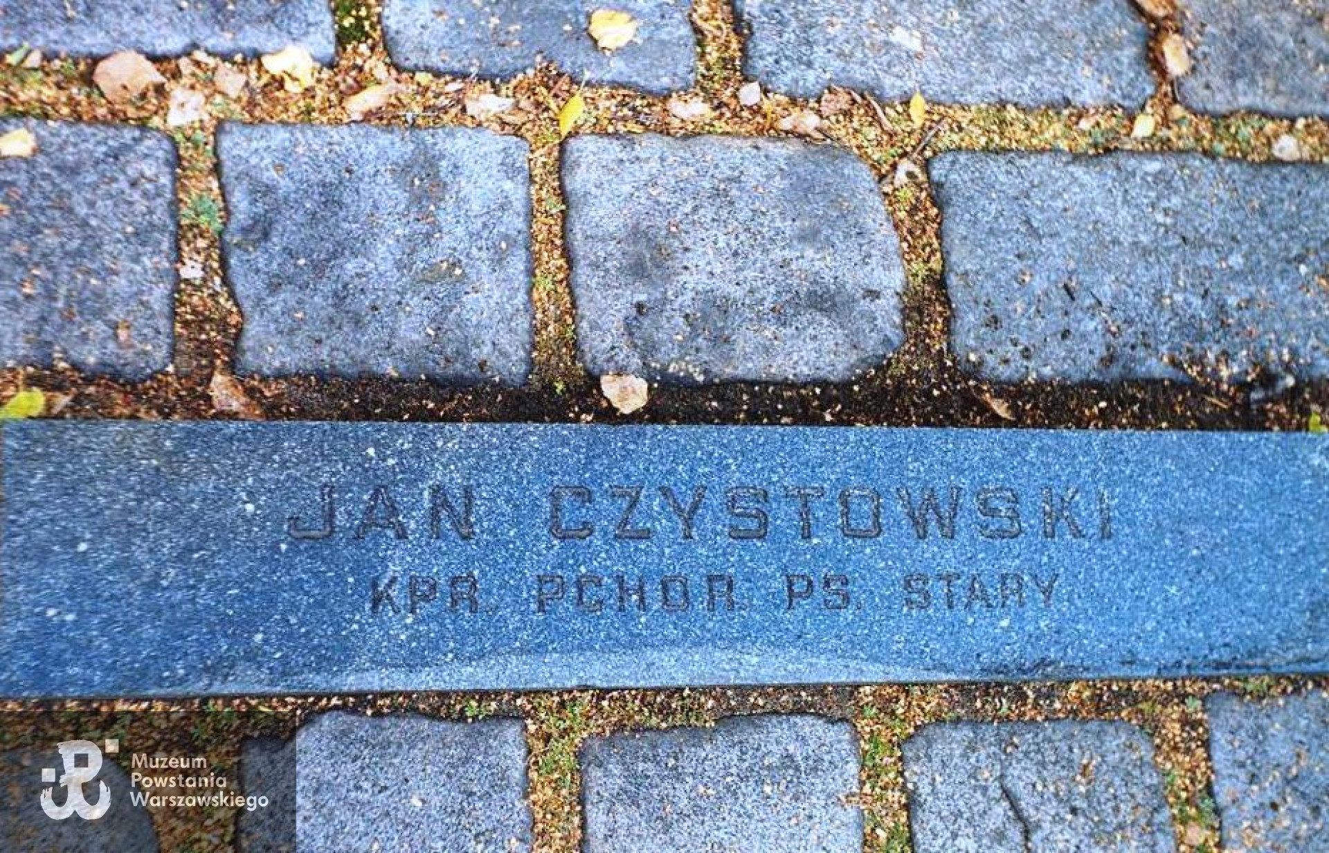 Cmentarz Powązki Wojskowe. Fot. A. Dławichowski - materiały do Słownika Biograficznego Uczestników PW