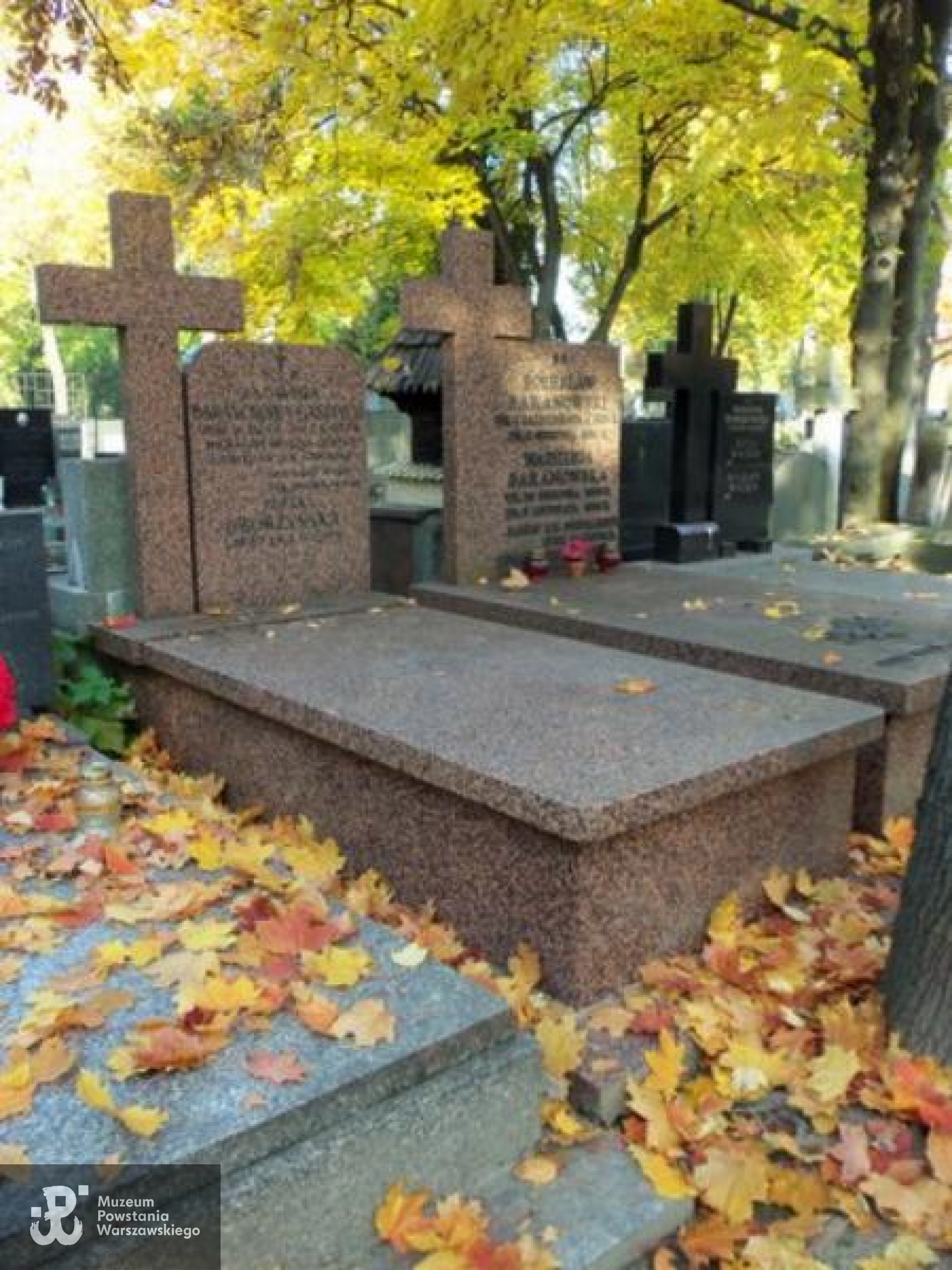 Fot. Warszawskie Zabytkowe Pomniki Nagrobne:  <i>cmentarze.um.warszawa.pl</i>