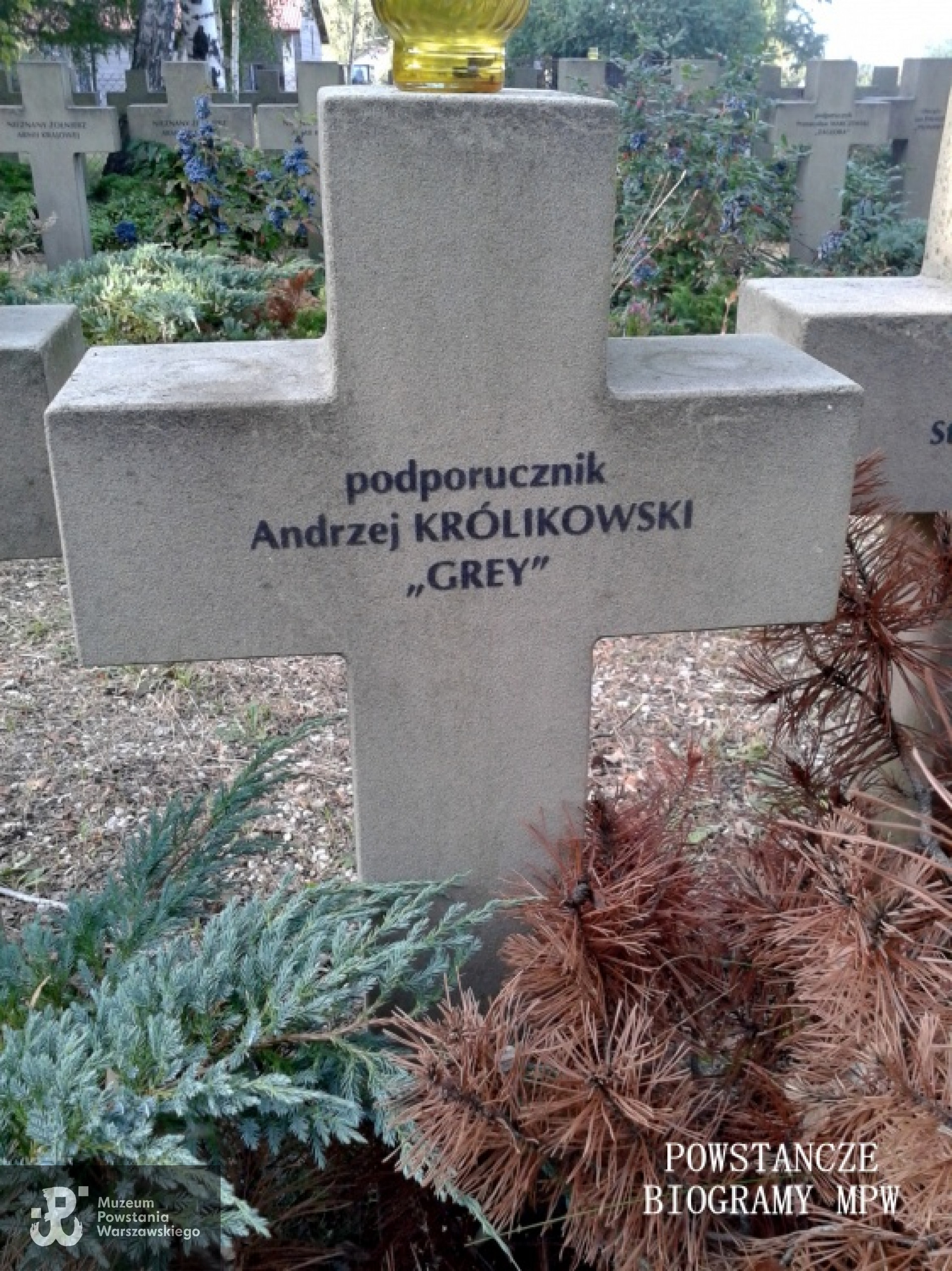 Mogiła ppor. Andrzeja Królikowskiego ps. "Grey" na Cmentarzu Wojennym w Budach Zosinych. Fot. Mariusz Skroński