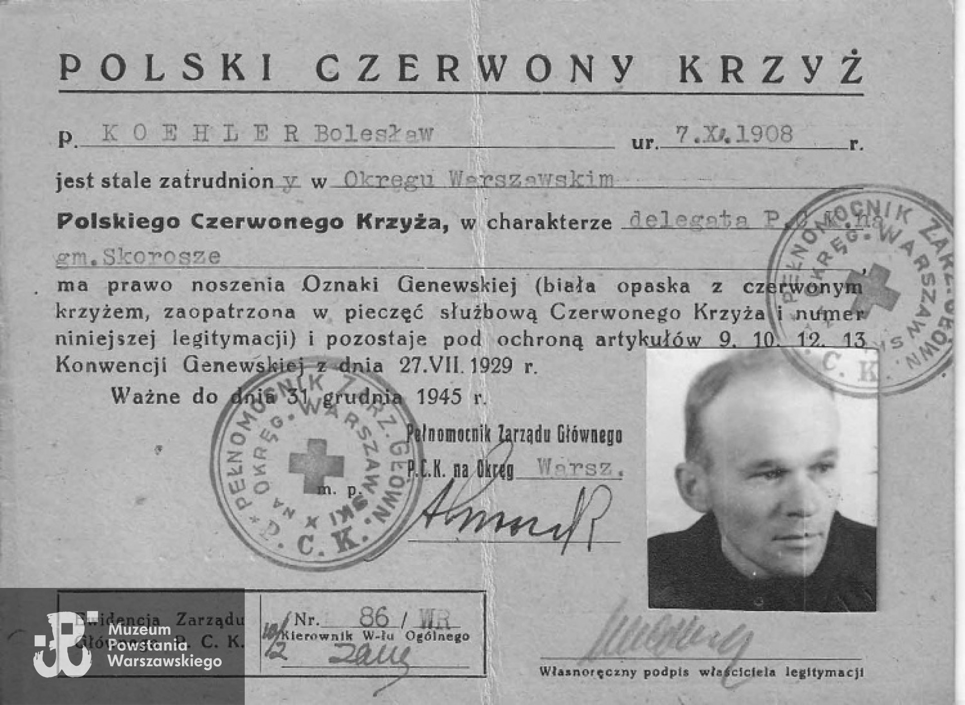 Legitymacja Polskiego Czerwonego Krzyża