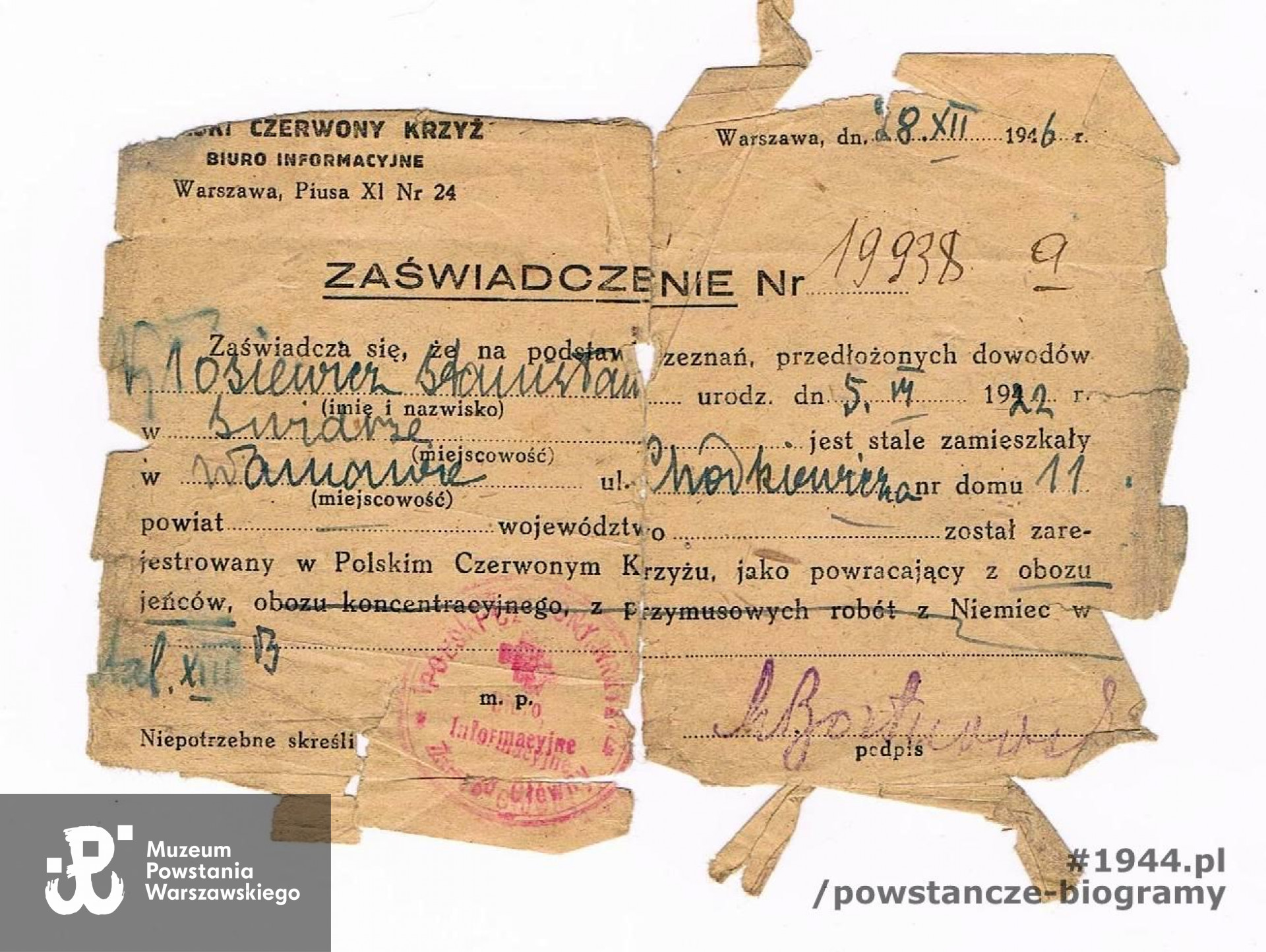 Zaświadczenie z 1946 r. wystawione przez Polski Czerwony Krzyż. Dokument poświadczał rejestrację powracającego z niewoli niemieckiej w PCK.  Z archiwum rodzinnego syna, p. Krzysztofa Kłosiewicza