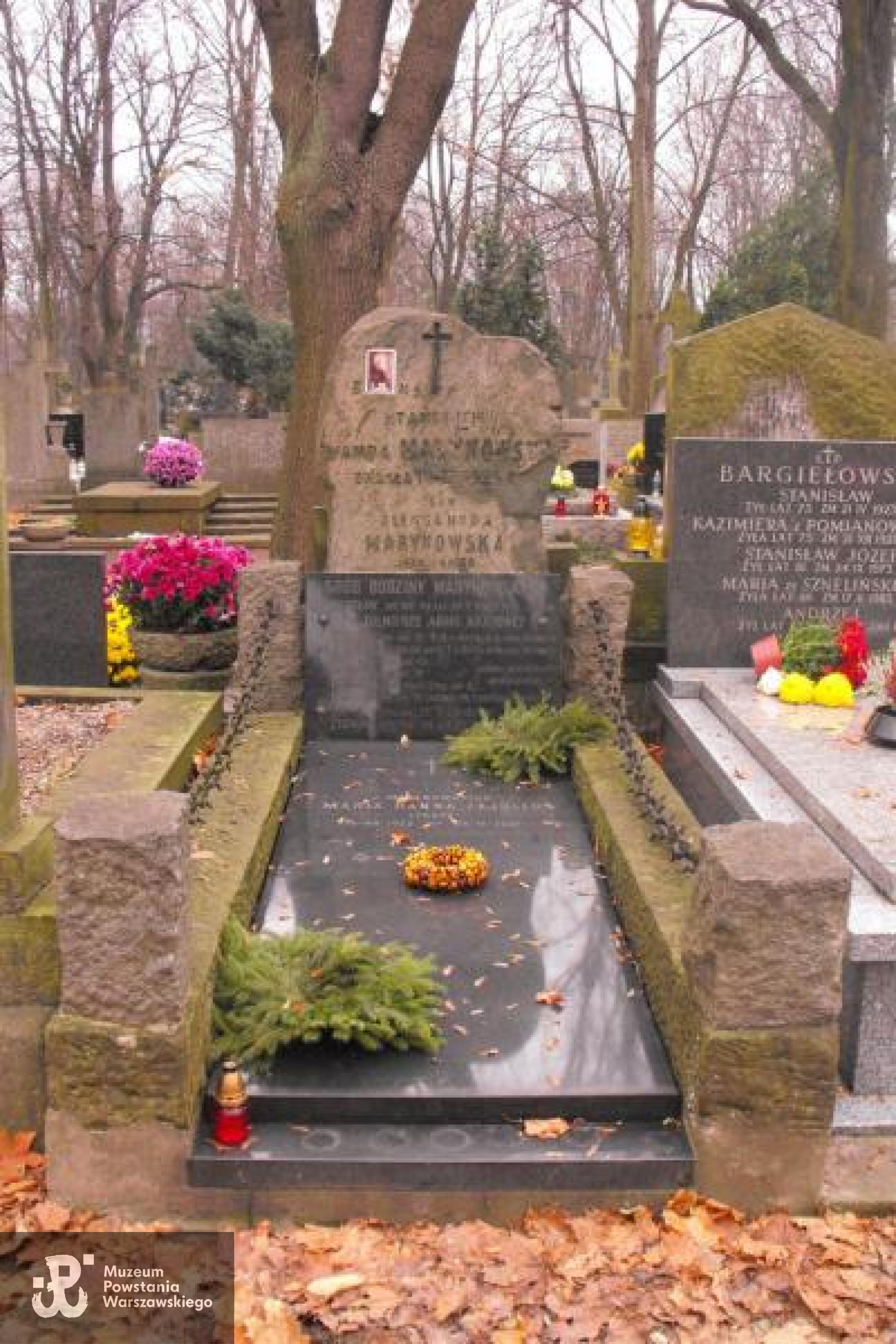 Cmentarz Powązkowski w Warszawie, kwatera 89, rząd 2, grób 22