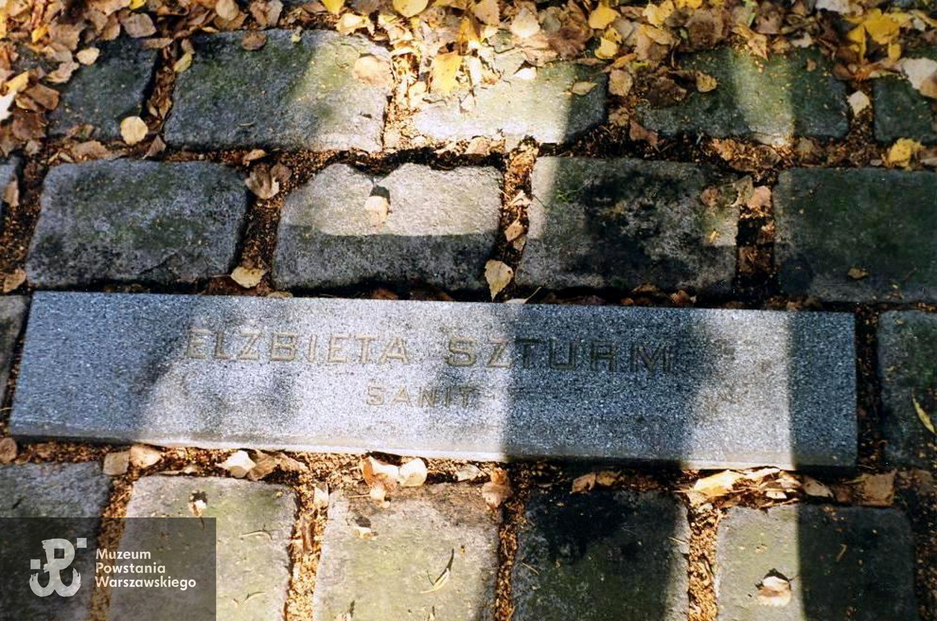 Cmentarz Wojskowy na Powązkach, kwatera A 28, rząd 5, grób 3. Fot. materiały do Słownika Biograficznego Uczestników PW - kwerenda A. Dławichowski