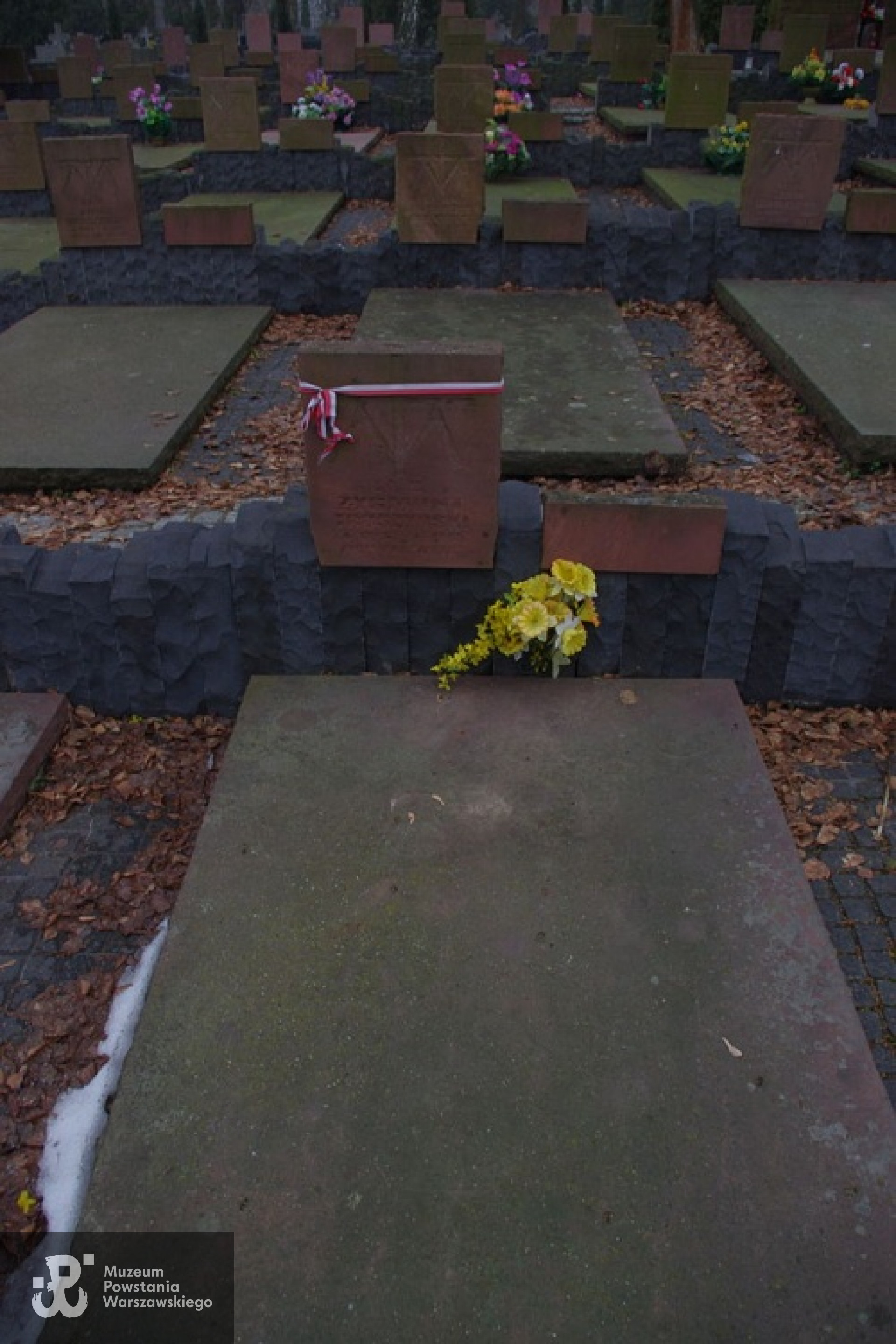 Grób Zygmunta Trószyńskiego na Cmentarzu Wawrzyszewskim w Warszawie. Fot. Wikipedia, autor Mateusz Opasiński