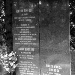 Warszawa, Cmentarz Wojskowy na Powązkach, kwatera A II, rząd  13, grób 16. Fot. Beata Trzcińska